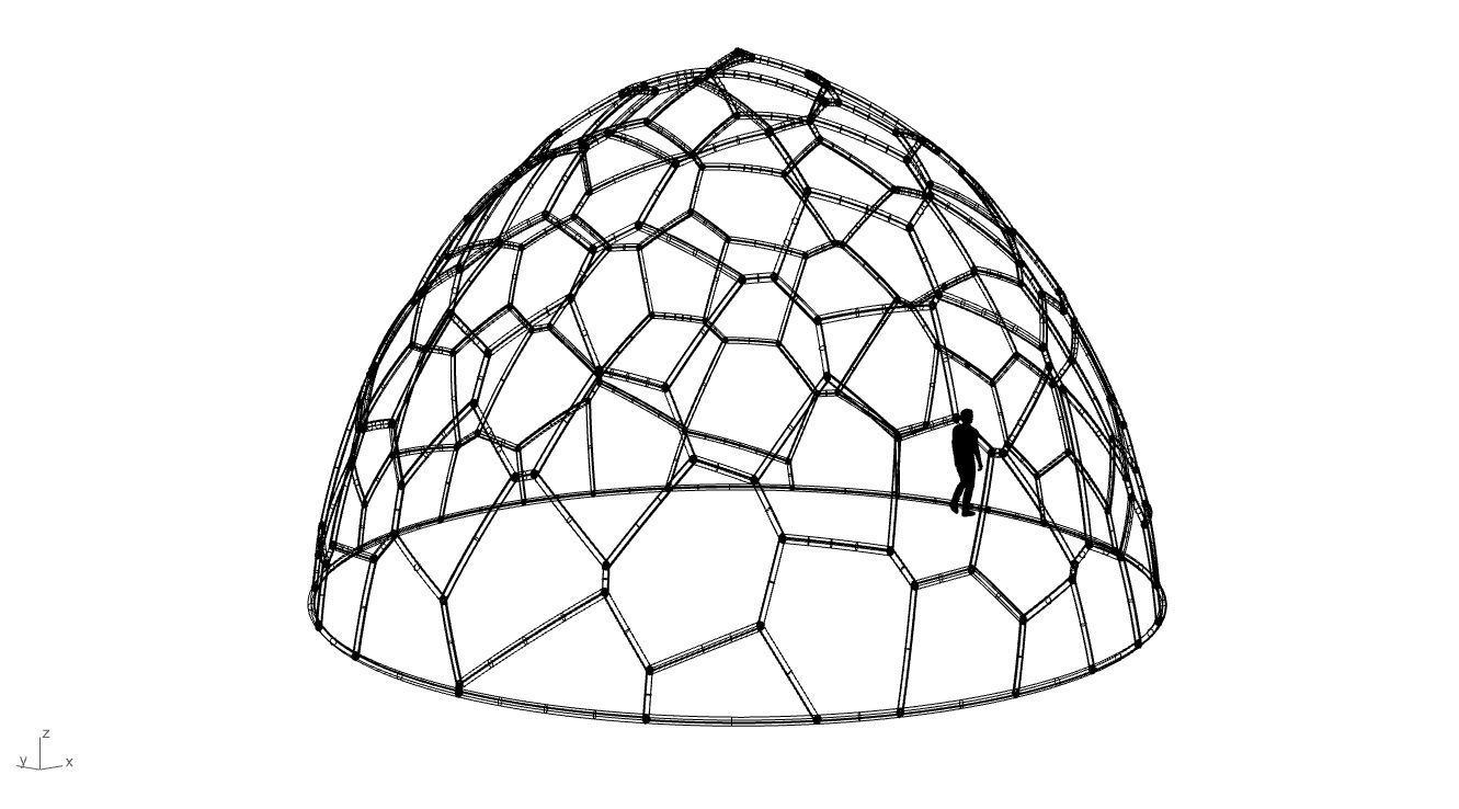 Voronoi Dome structure Geodoesic Like Wireframe 3D model_104