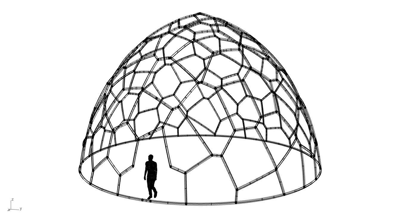 Voronoi Dome structure Geodoesic Like Wireframe 3D model_100