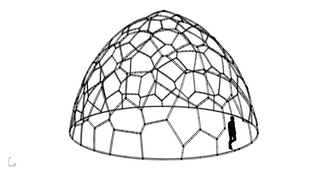 Voronoi Dome structure Geodoesic Like Wireframe 3D model_108