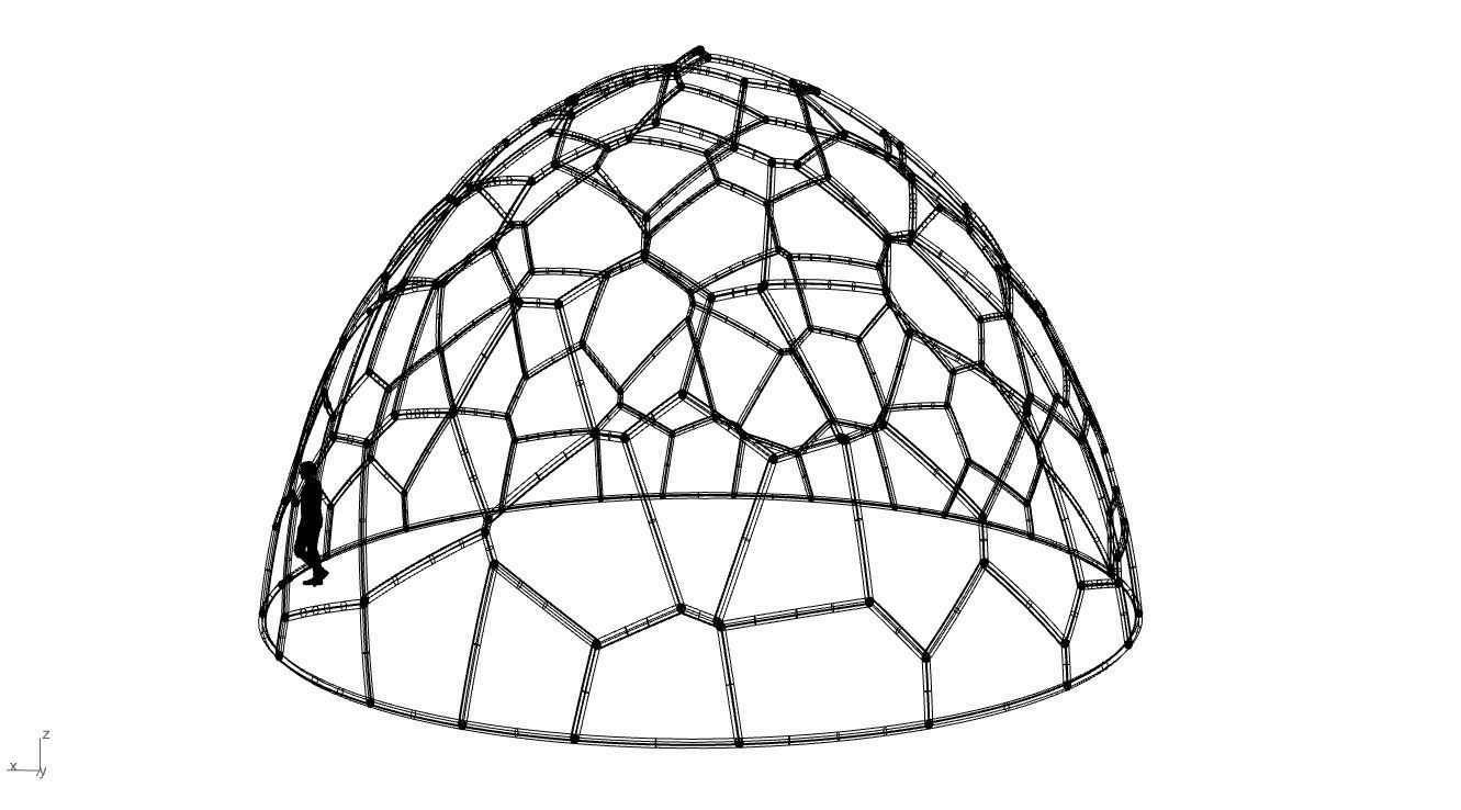 Voronoi Dome structure Geodoesic Like Wireframe 3D model_93