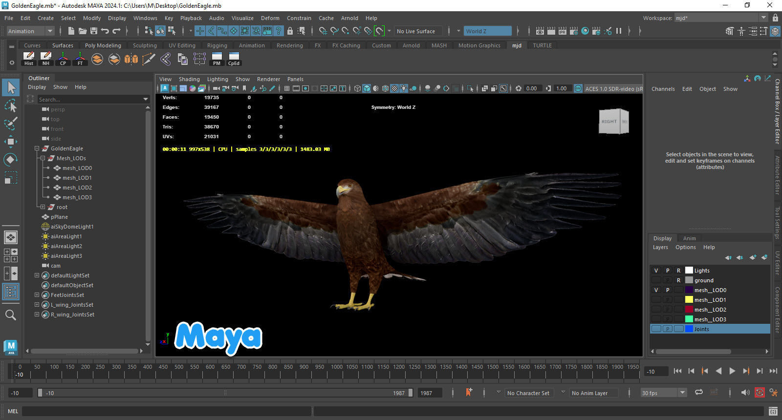 Realistic Animated Golden Eagle Low-poly 3D model_15