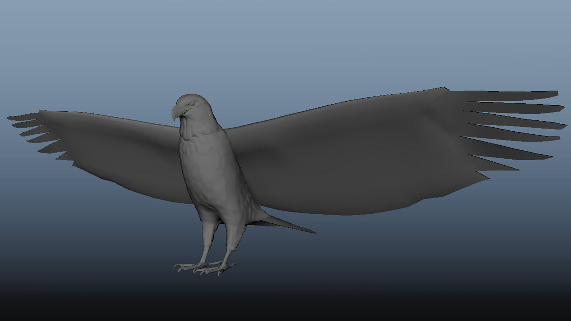 Realistic Animated Golden Eagle Low-poly 3D model_14