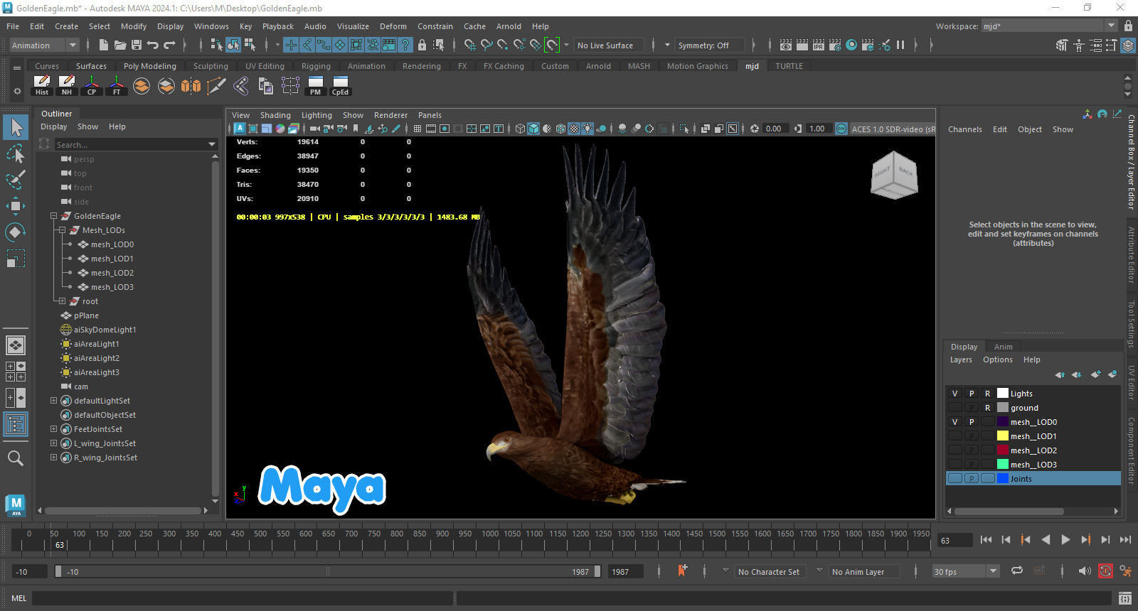 Realistic Animated Golden Eagle Low-poly 3D model_8