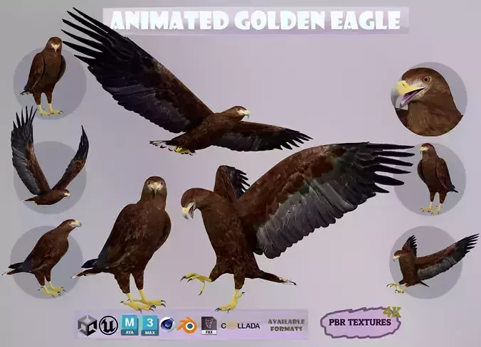 Realistic Animated Golden Eagle Low-poly 3D model