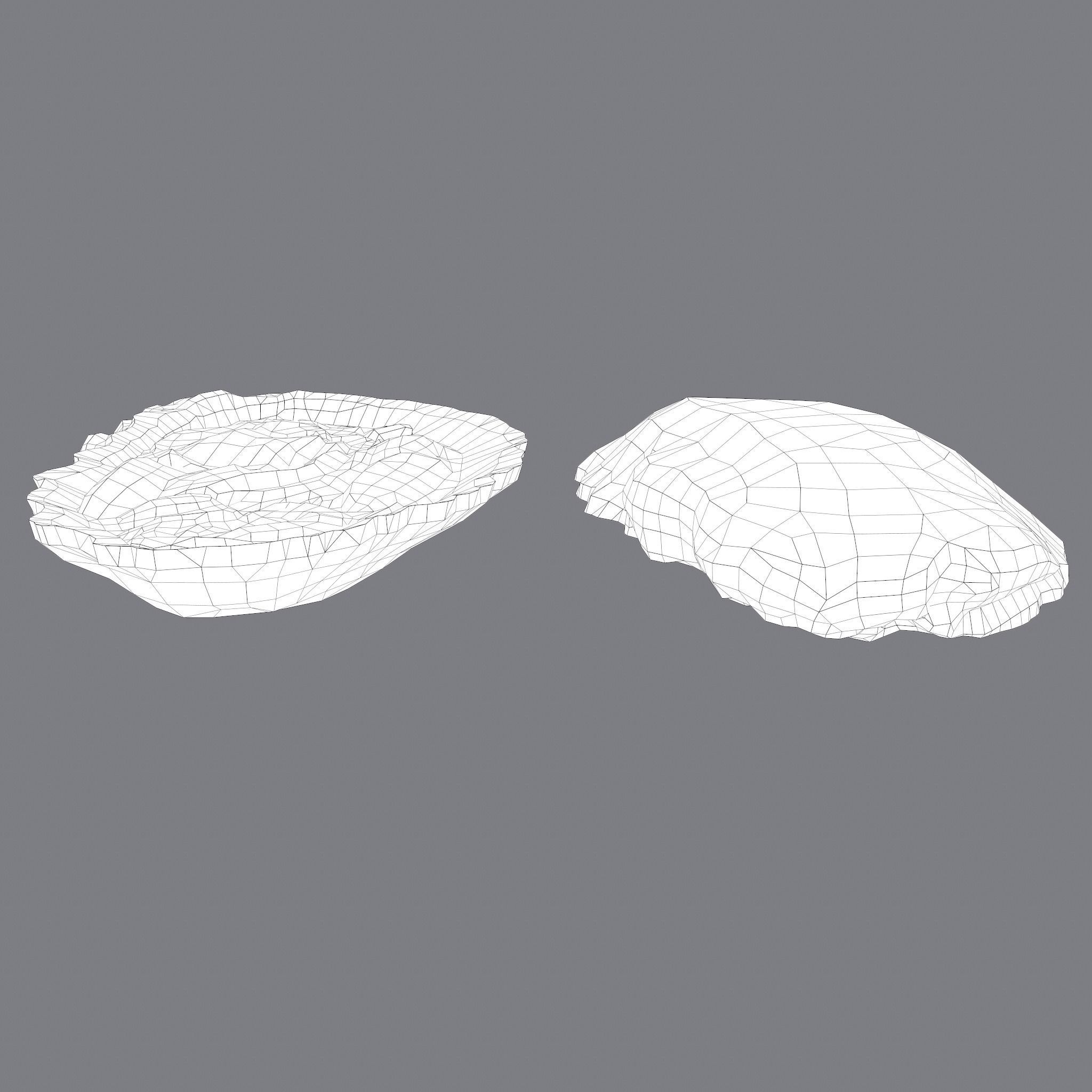 Oyster Low-poly 3D model_33