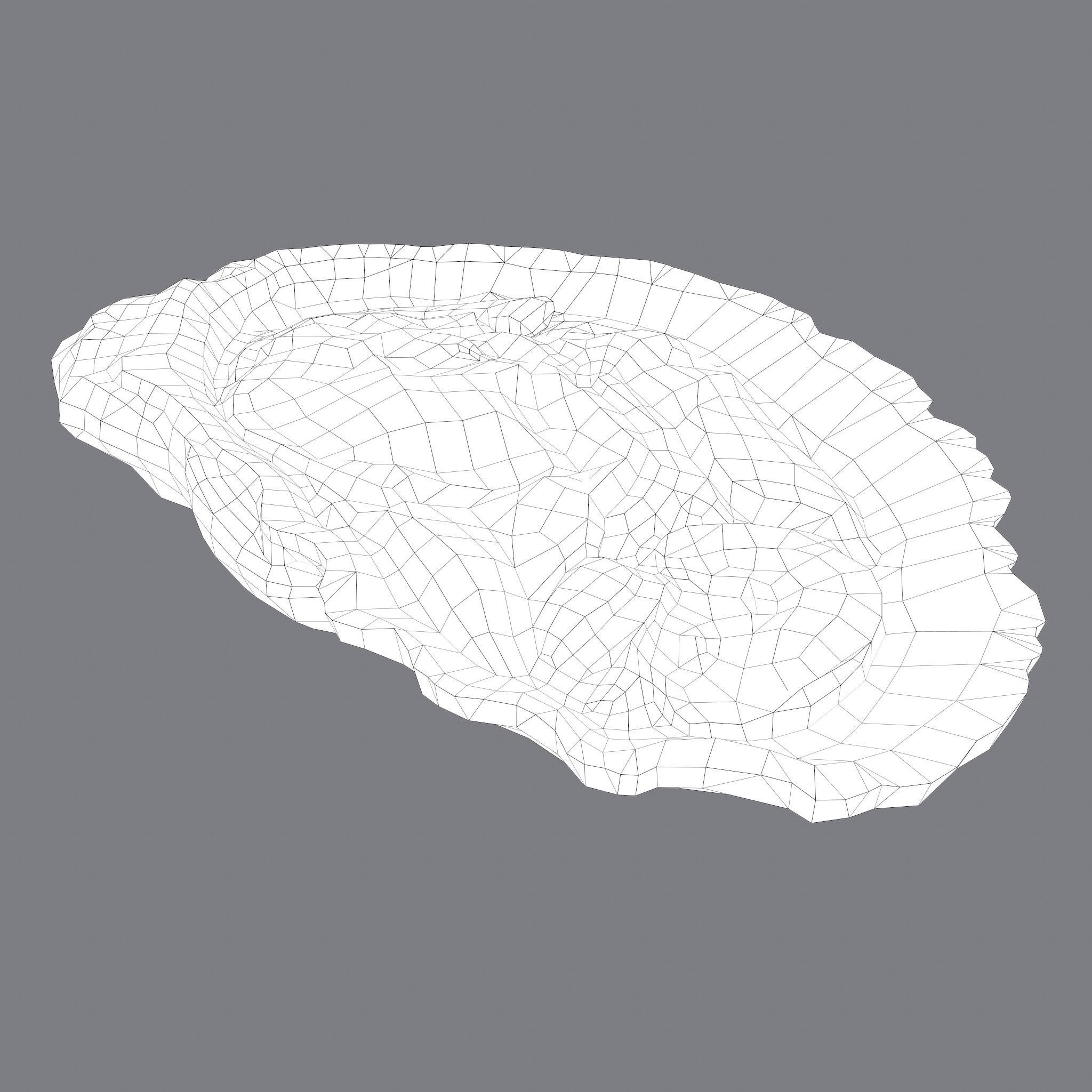 Oyster Low-poly 3D model_23