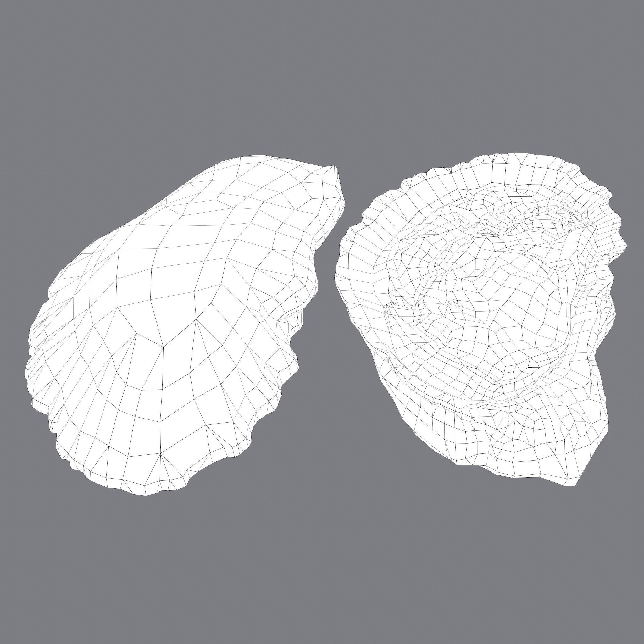 Oyster Low-poly 3D model_35