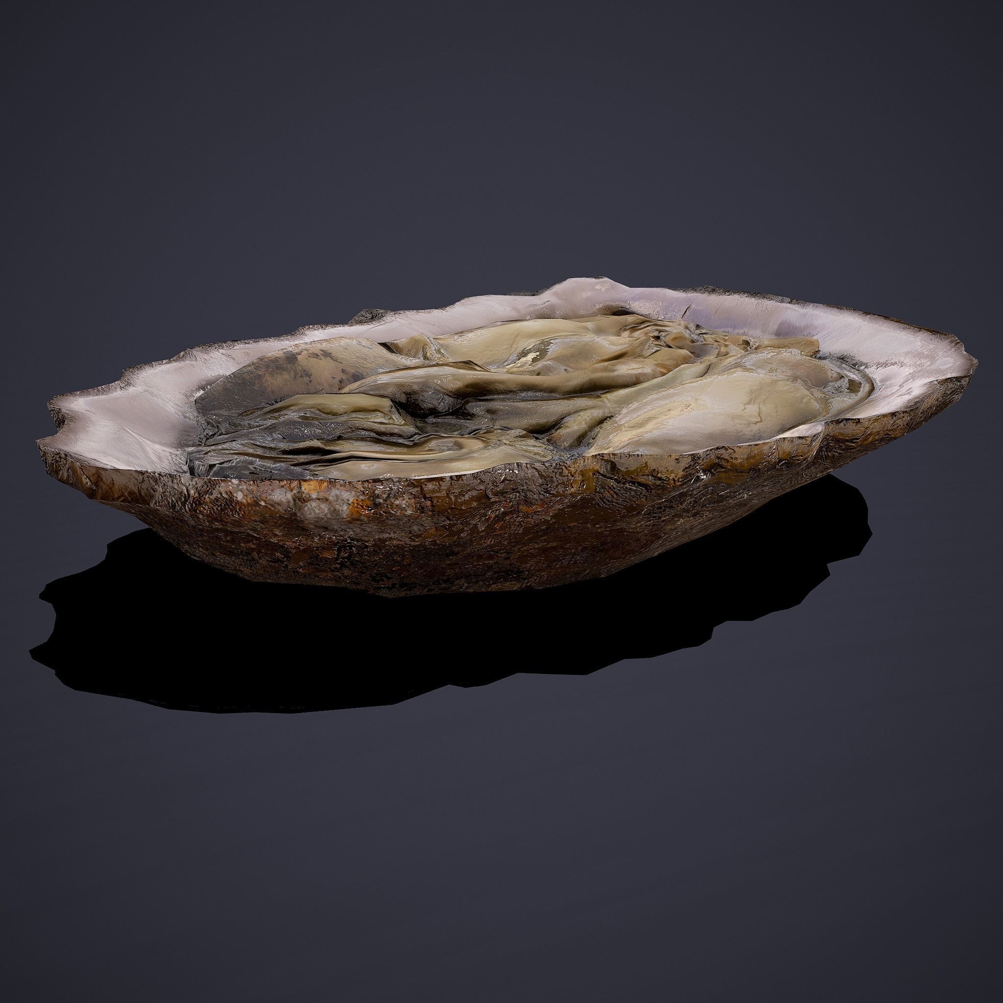 Oyster Low-poly 3D model_19