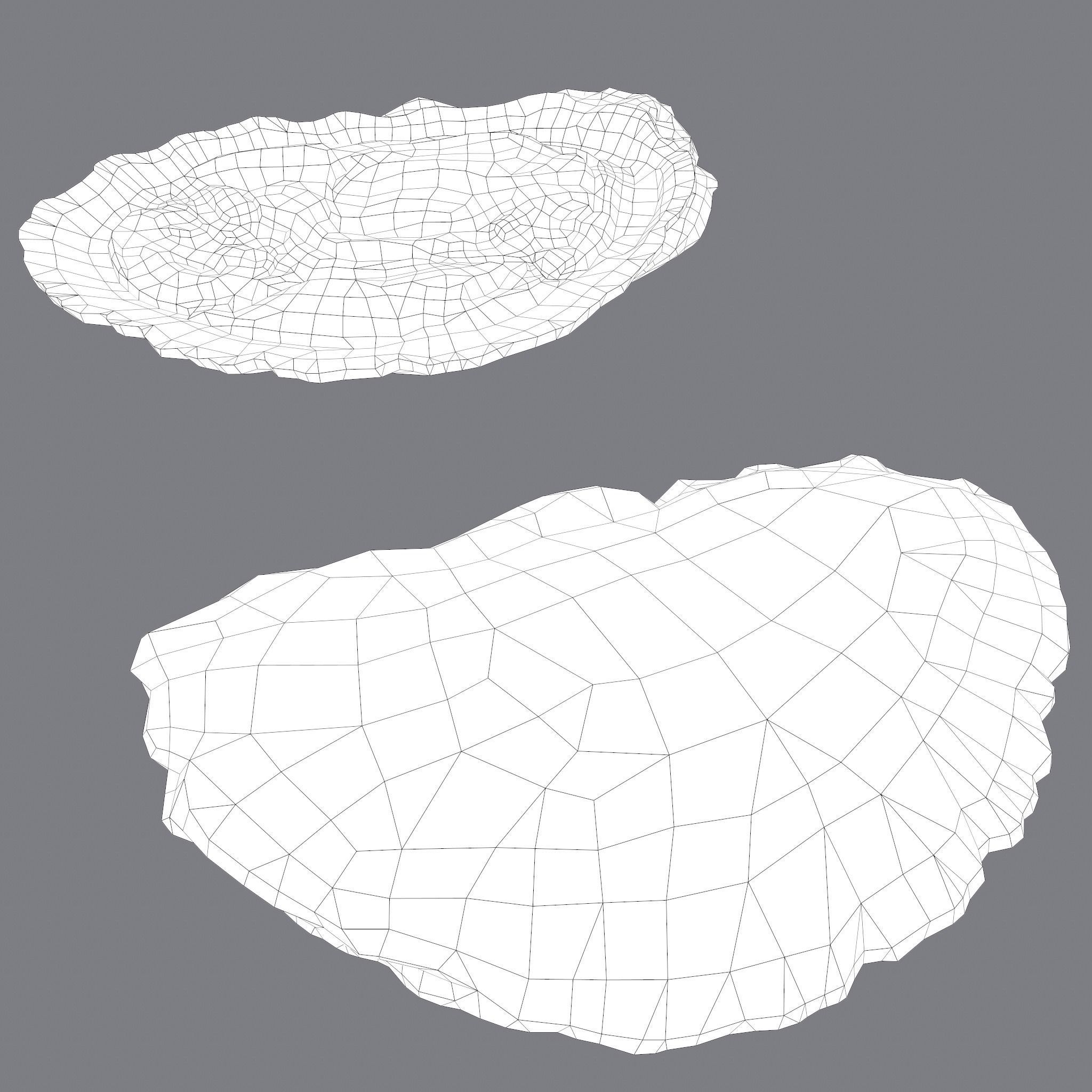 Oyster Low-poly 3D model_34
