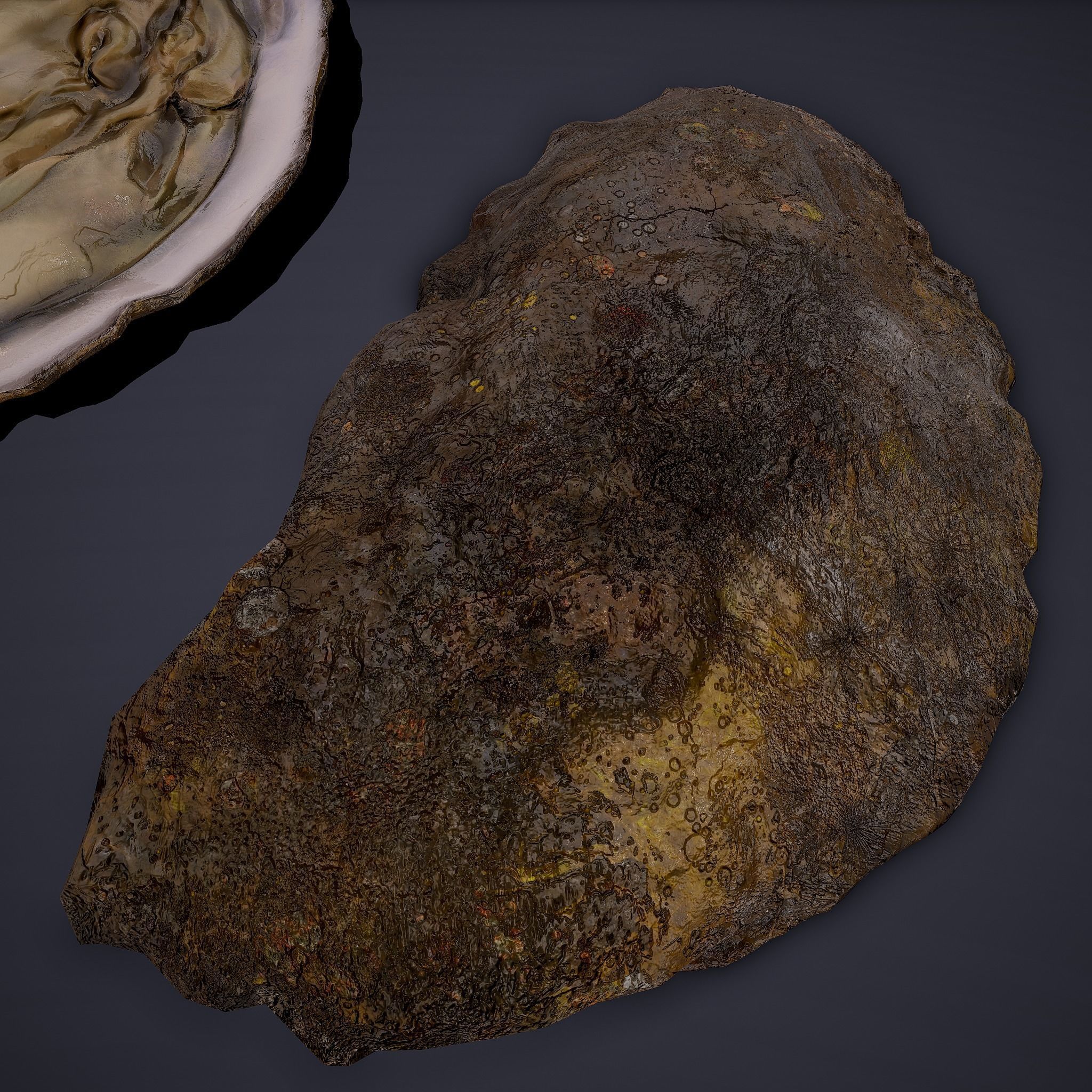 Oyster Low-poly 3D model_15