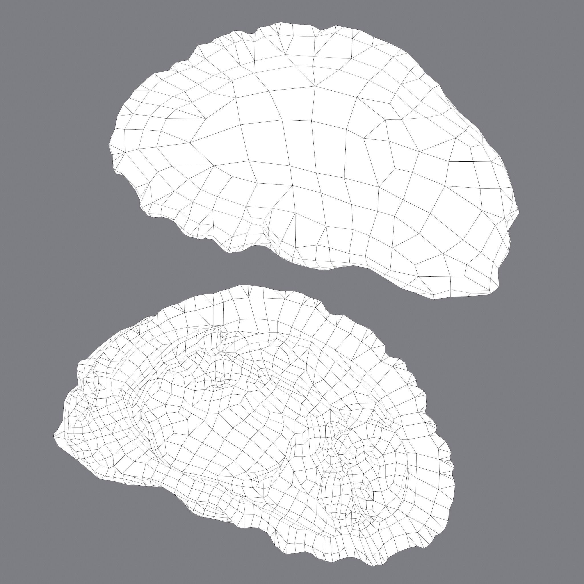 Oyster Low-poly 3D model_32