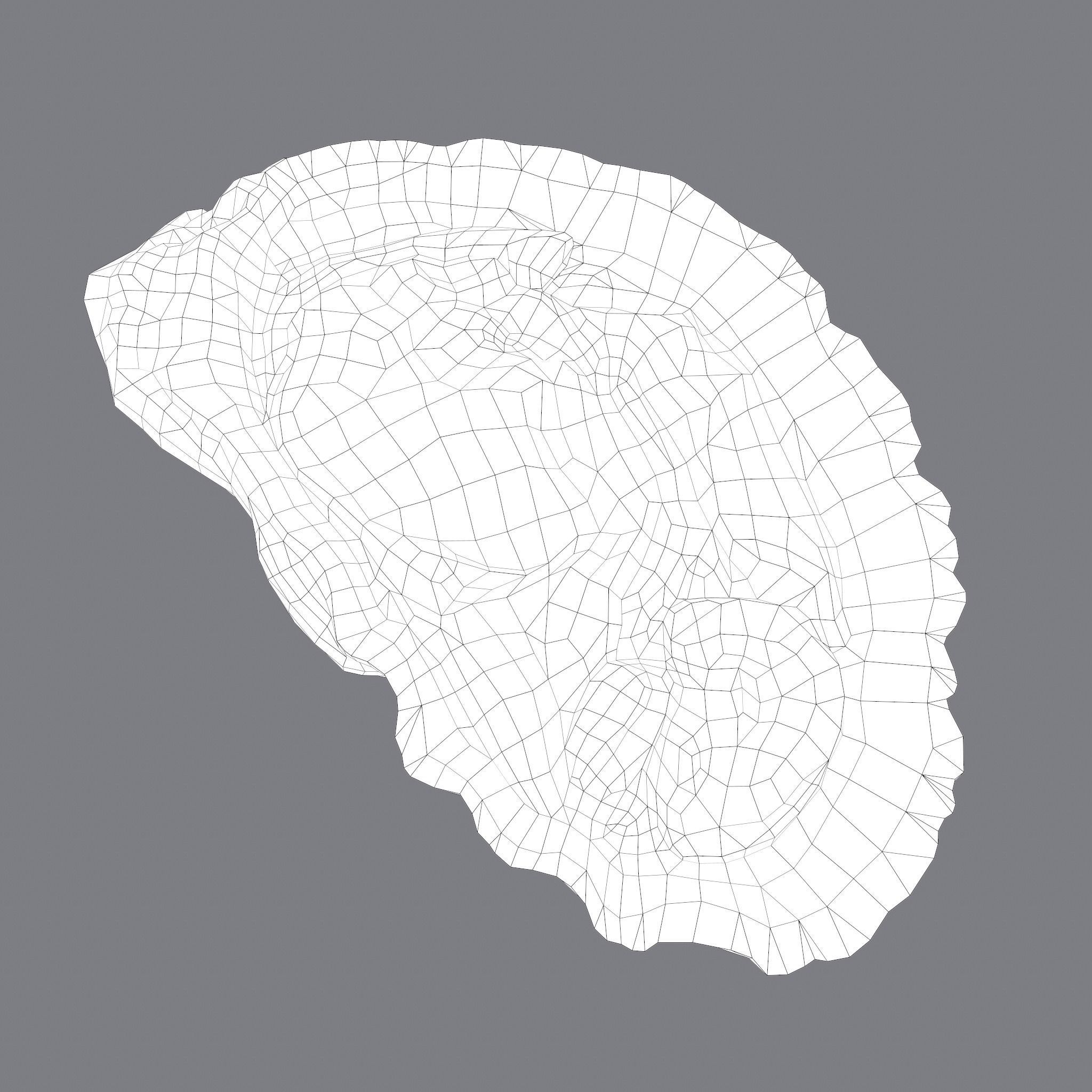 Oyster Low-poly 3D model_22