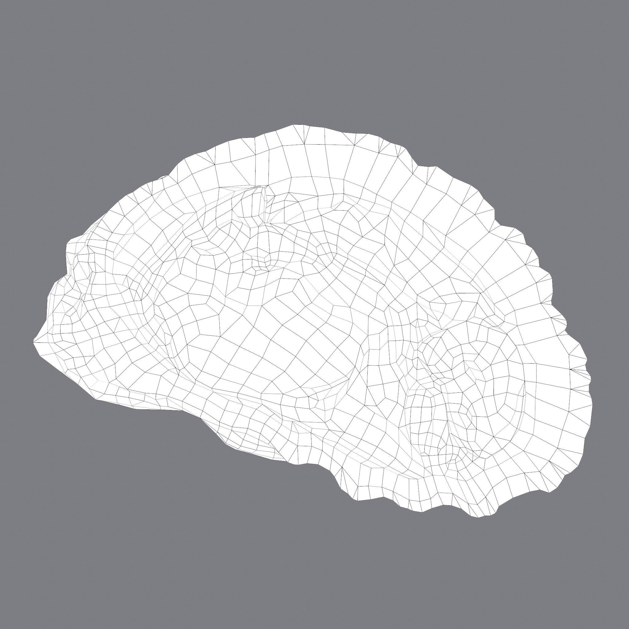 Oyster Low-poly 3D model_31