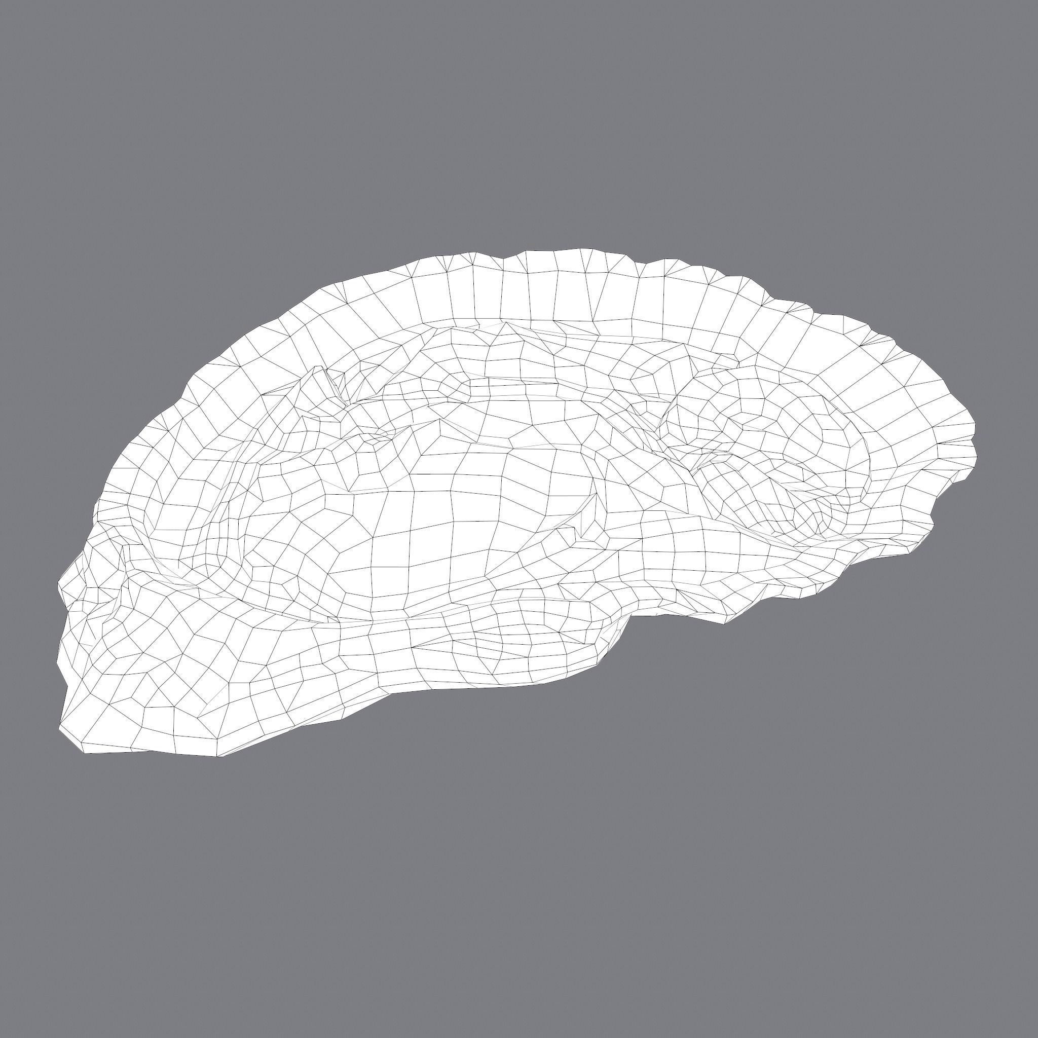 Oyster Low-poly 3D model_30