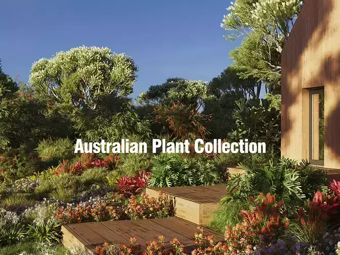 Australian Plant Collection - Include GrowFX and Mesh file  3D model