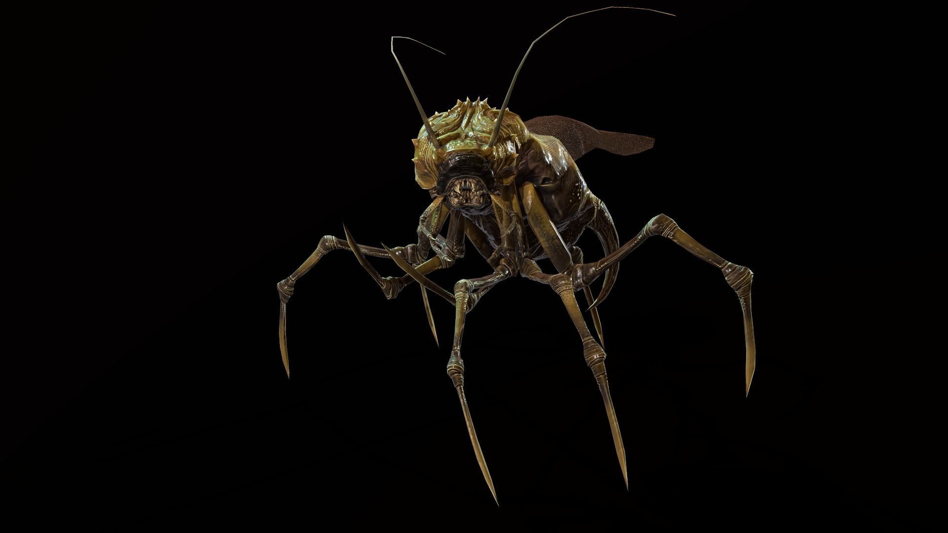 Land Bug 1 Low-poly 3D model_5