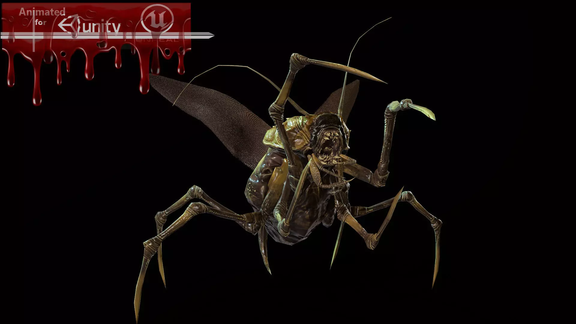 Land Bug 1 Low-poly 3D model_0