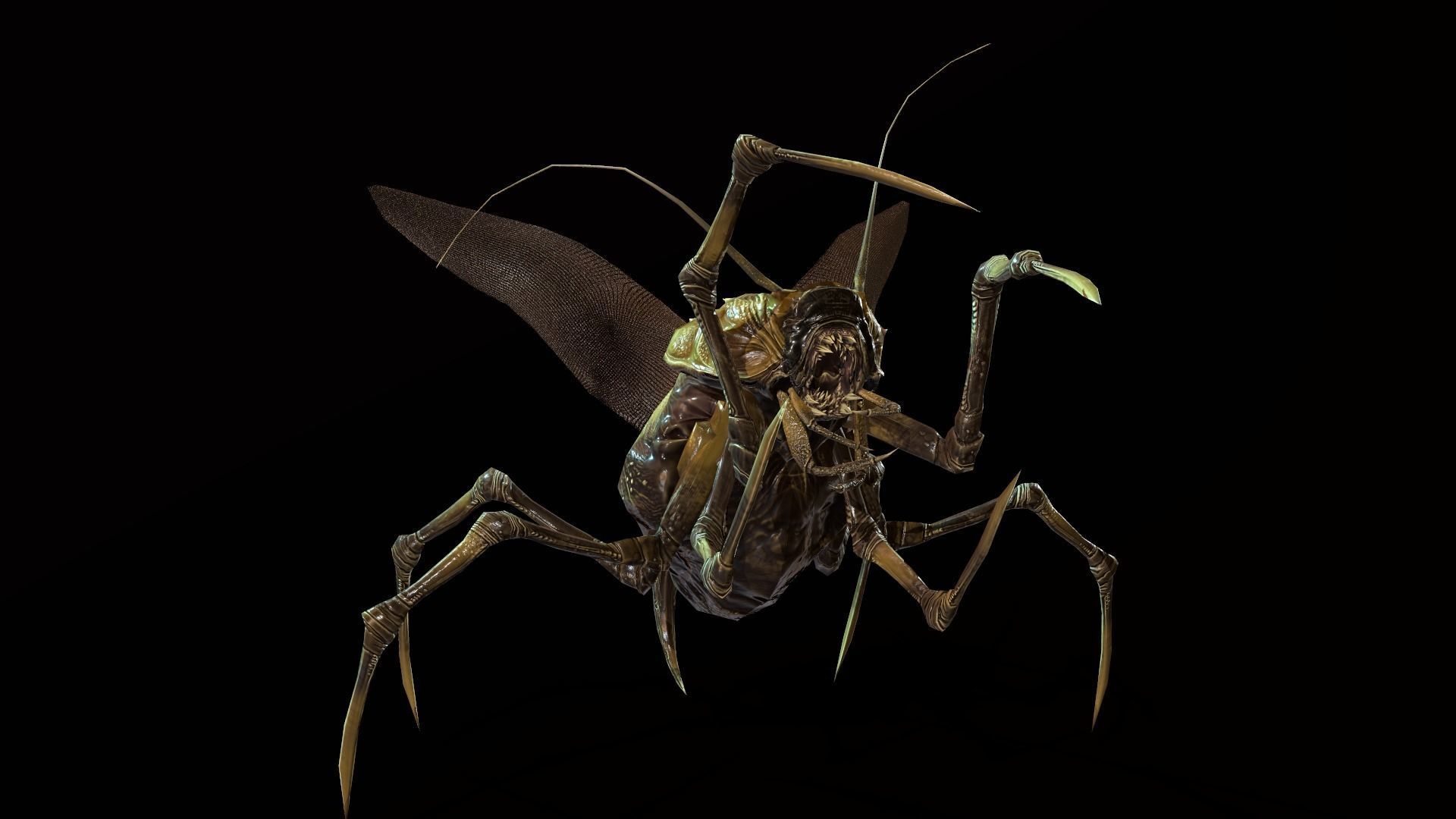 Land Bug 1 Low-poly 3D model_3