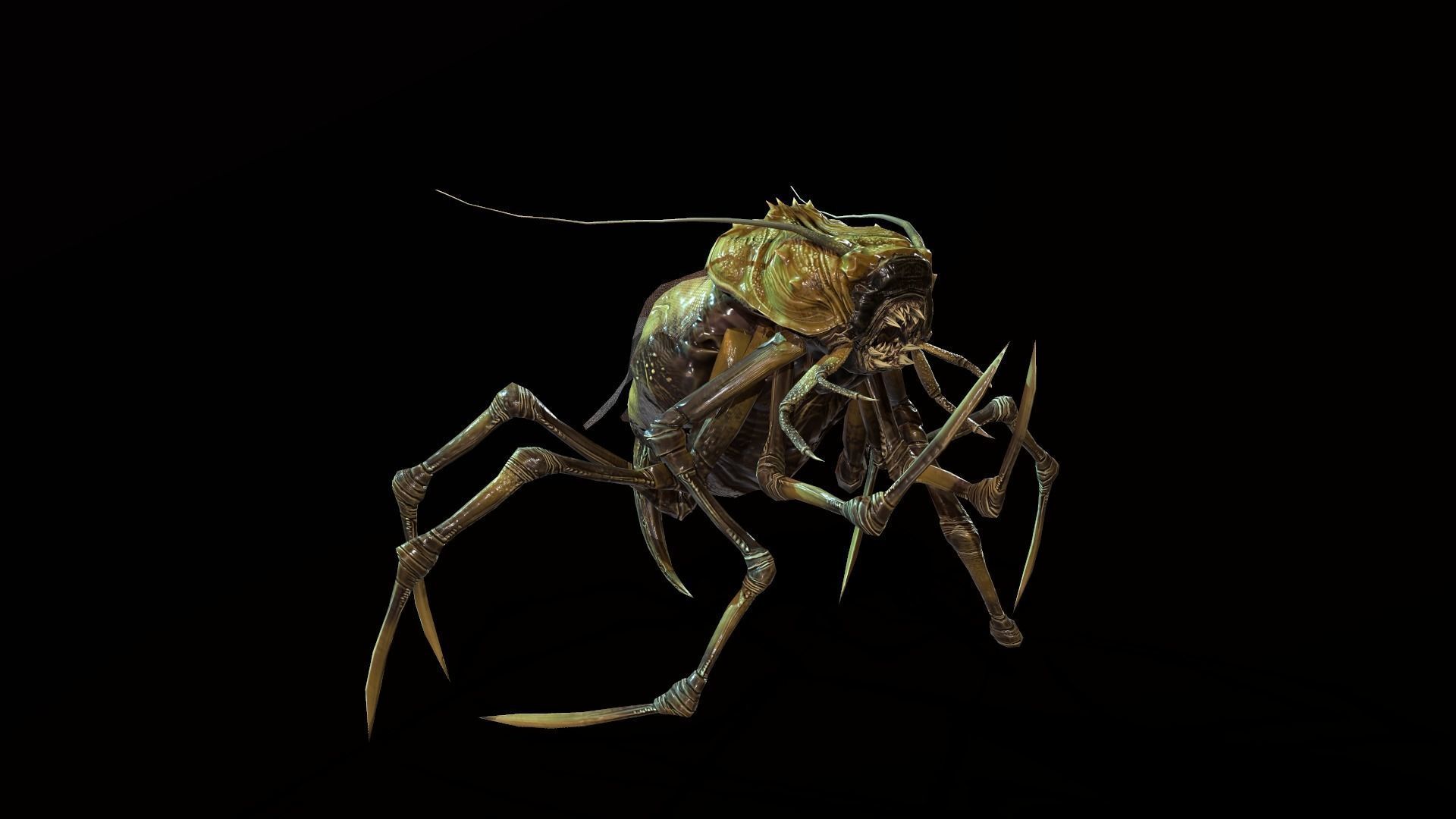 Land Bug 1 Low-poly 3D model_4
