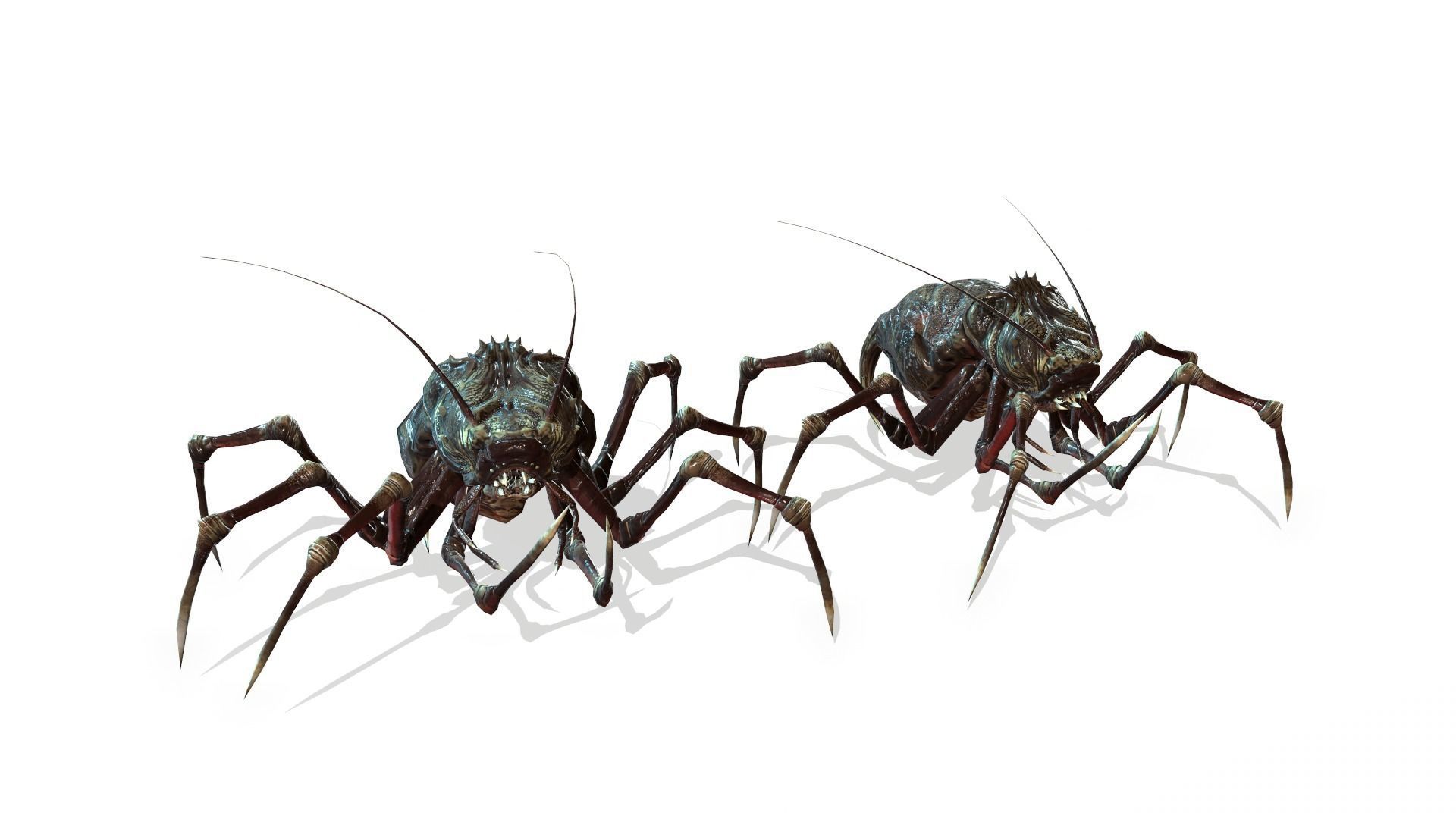 Land Bug 1 Low-poly 3D model_7