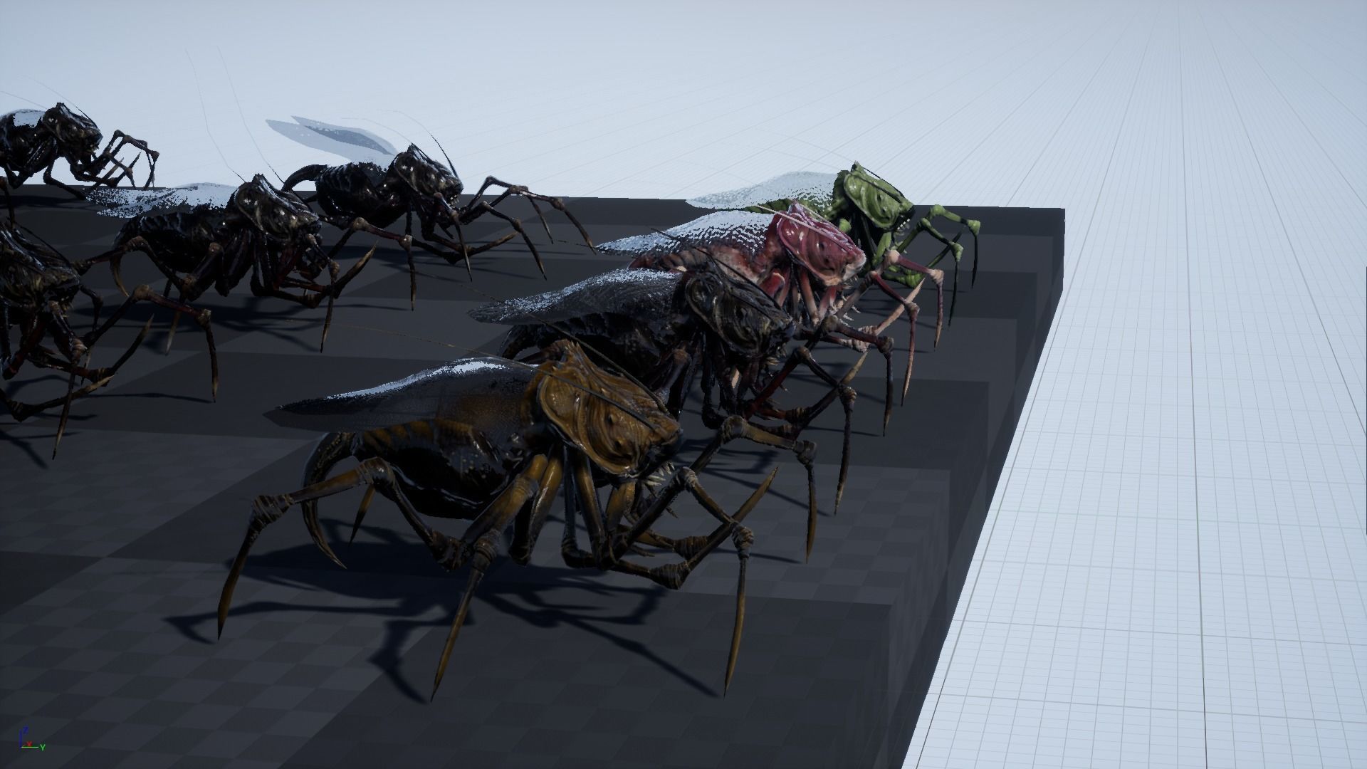 Land Bug 1 Low-poly 3D model_16