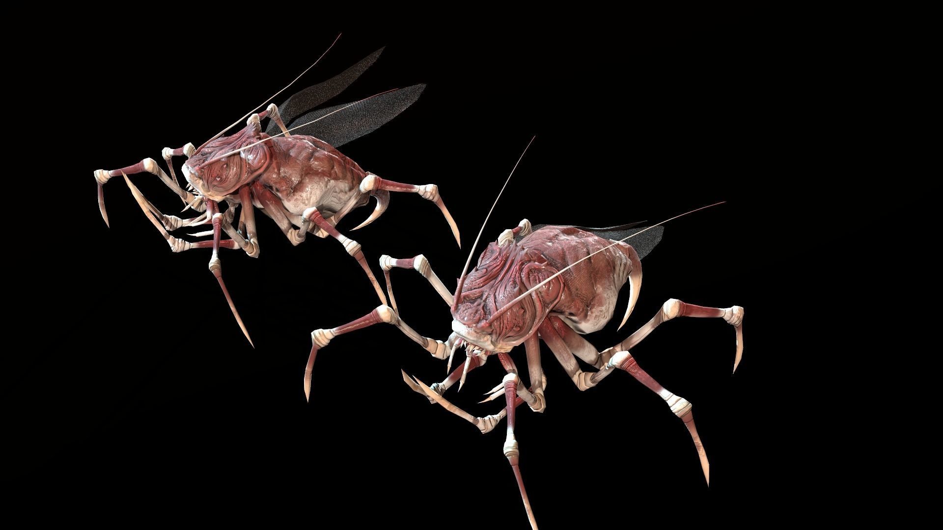 Land Bug 1 Low-poly 3D model_8