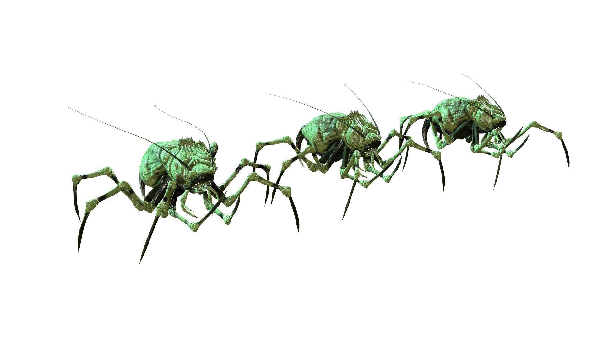 Land Bug 1 Low-poly 3D model_11