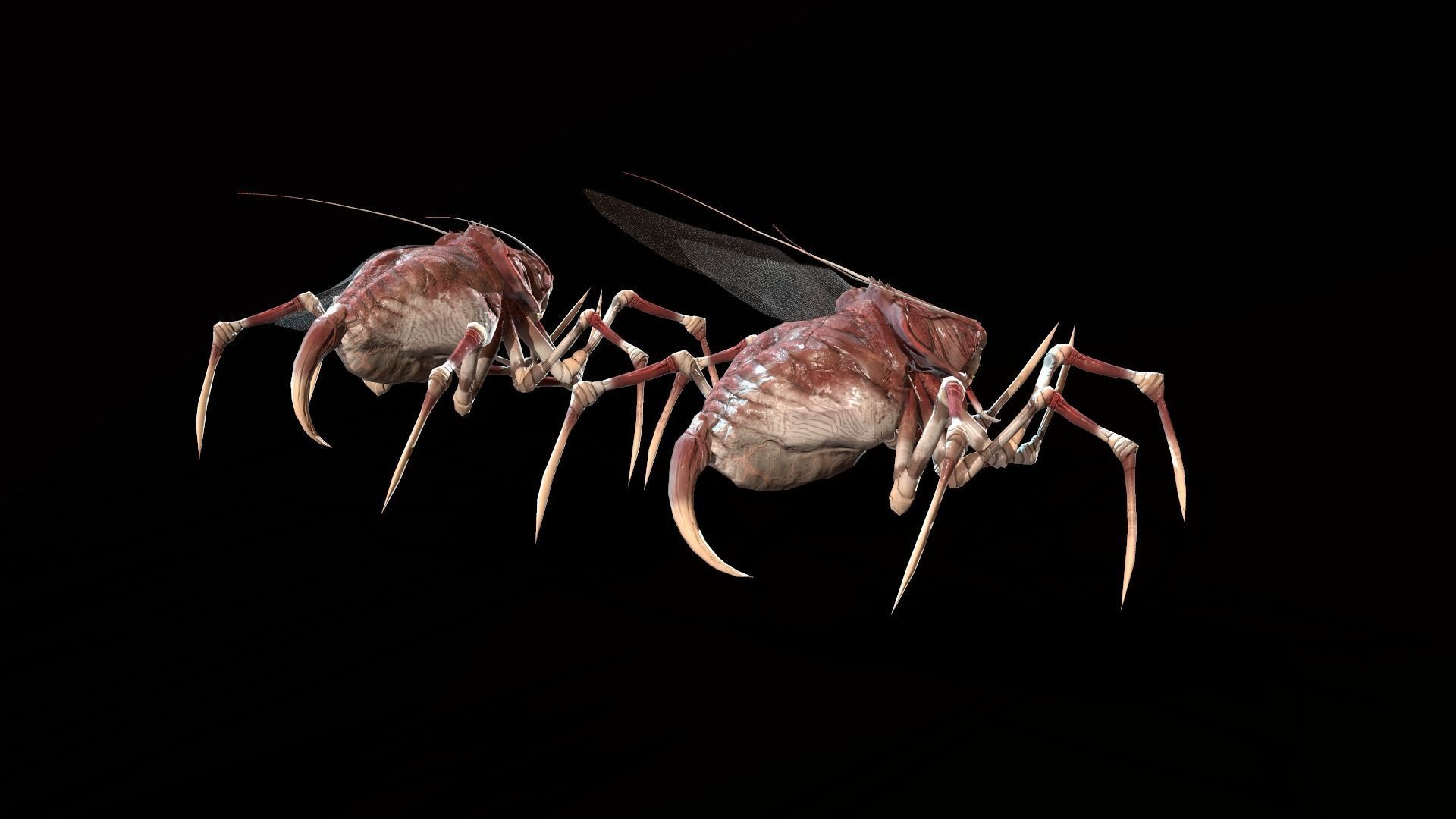 Land Bug 1 Low-poly 3D model_10