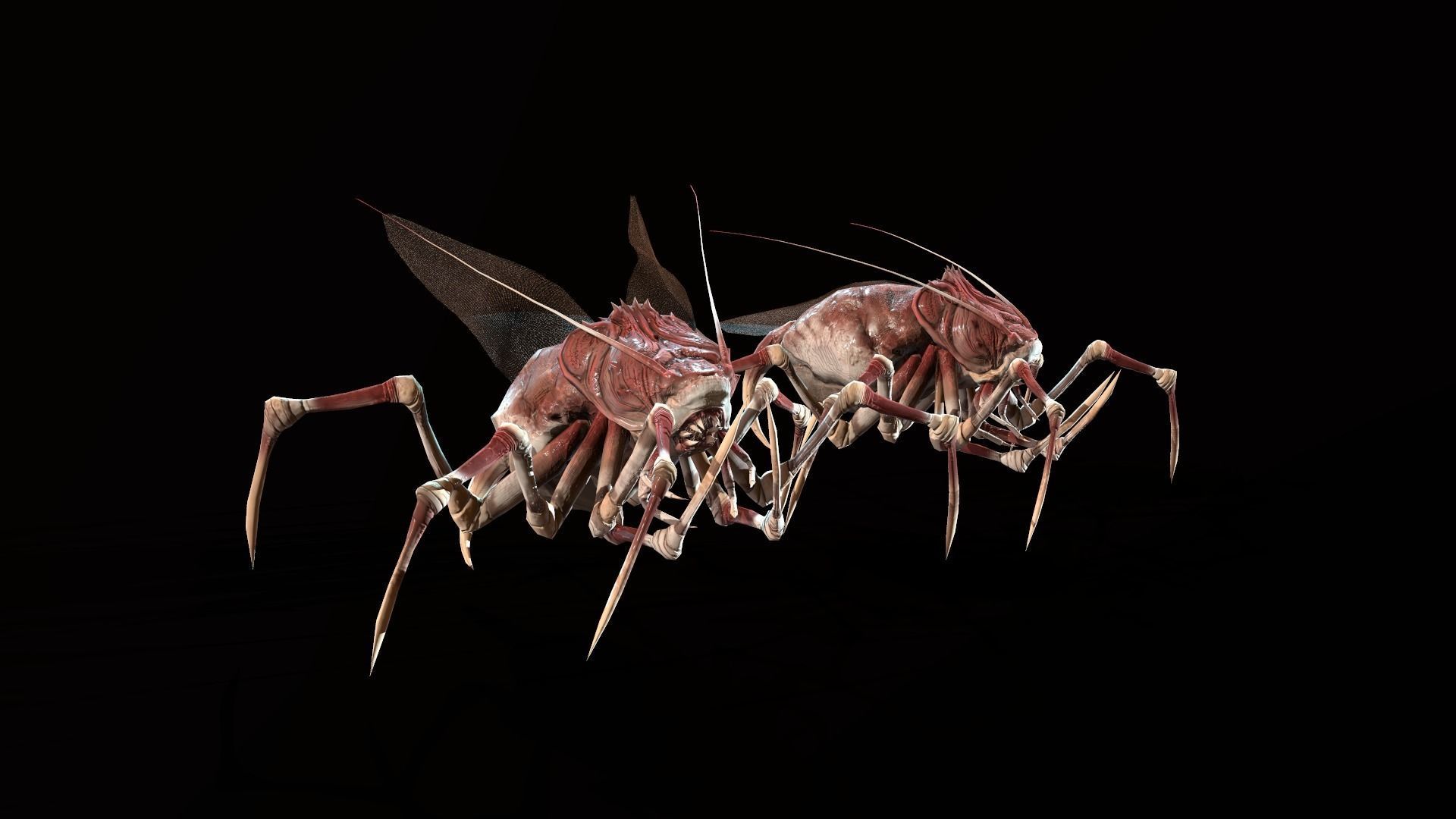 Land Bug 1 Low-poly 3D model_9
