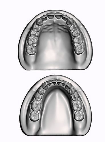 Test print models maxilla and mandible Free 3D print model