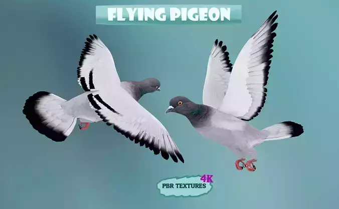 Realistic flying Pigeon - LOOP FLIGHT animations Low-poly 3D model