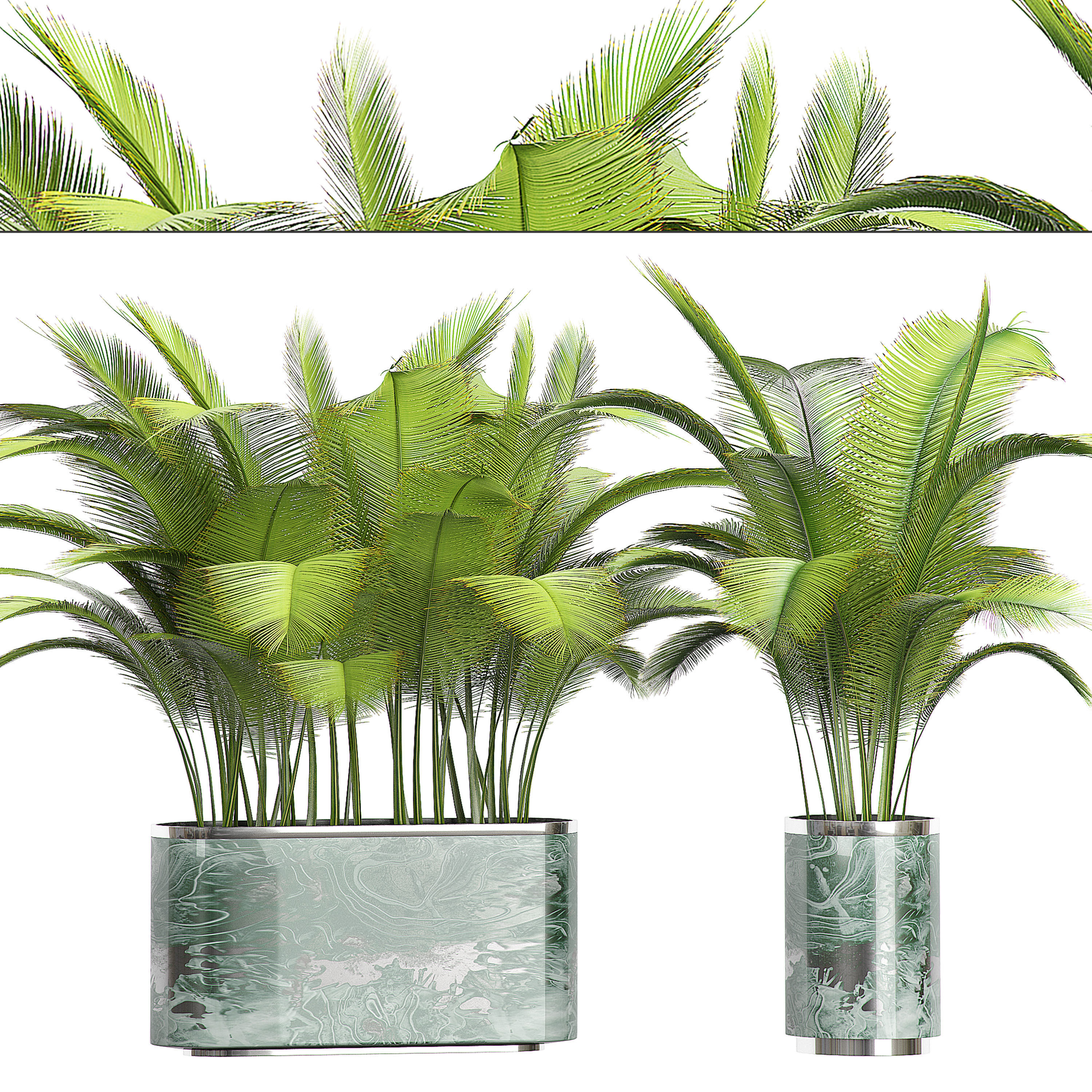 MEGA FLOWER PACK 1 3D model_5