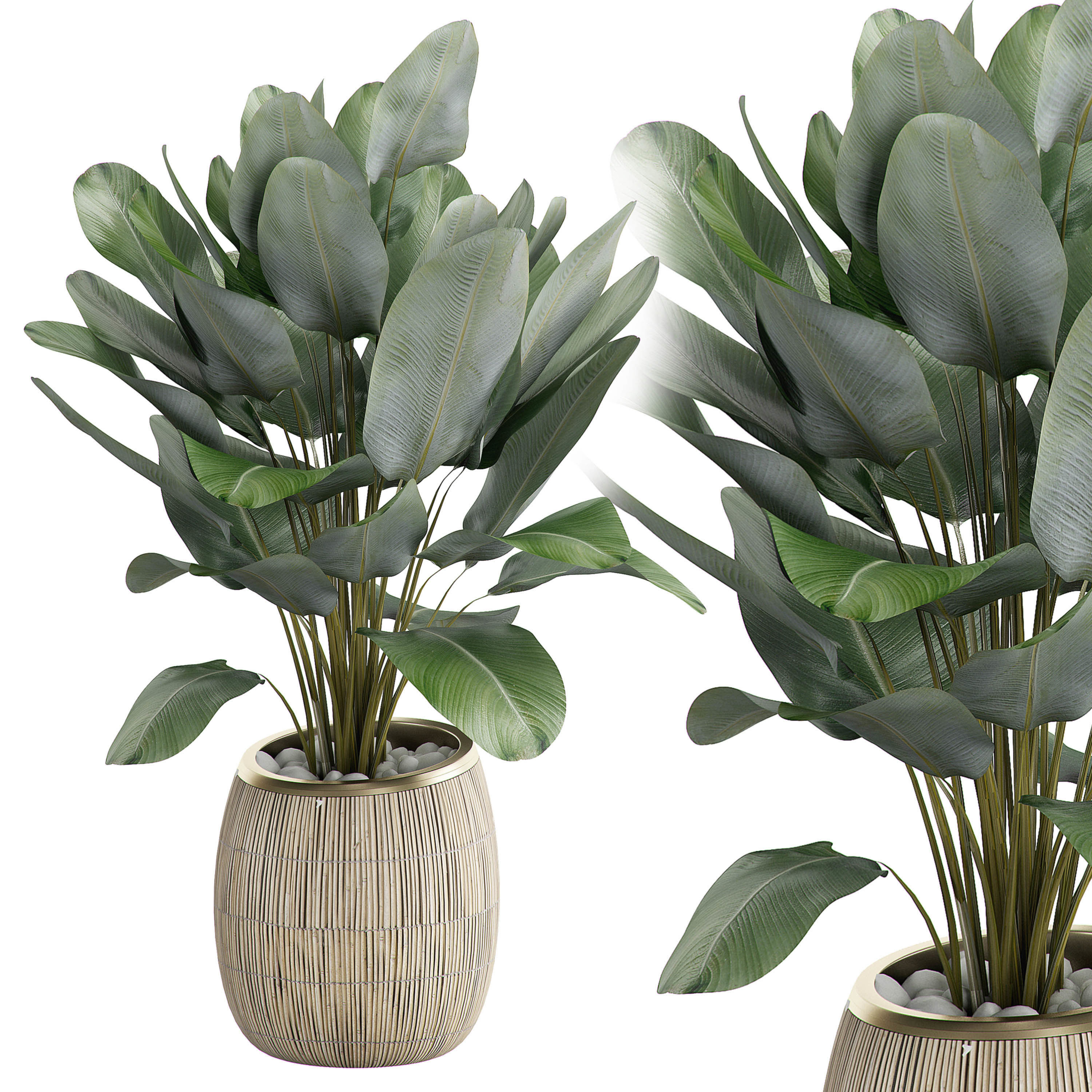 MEGA FLOWER PACK 1 3D model_4