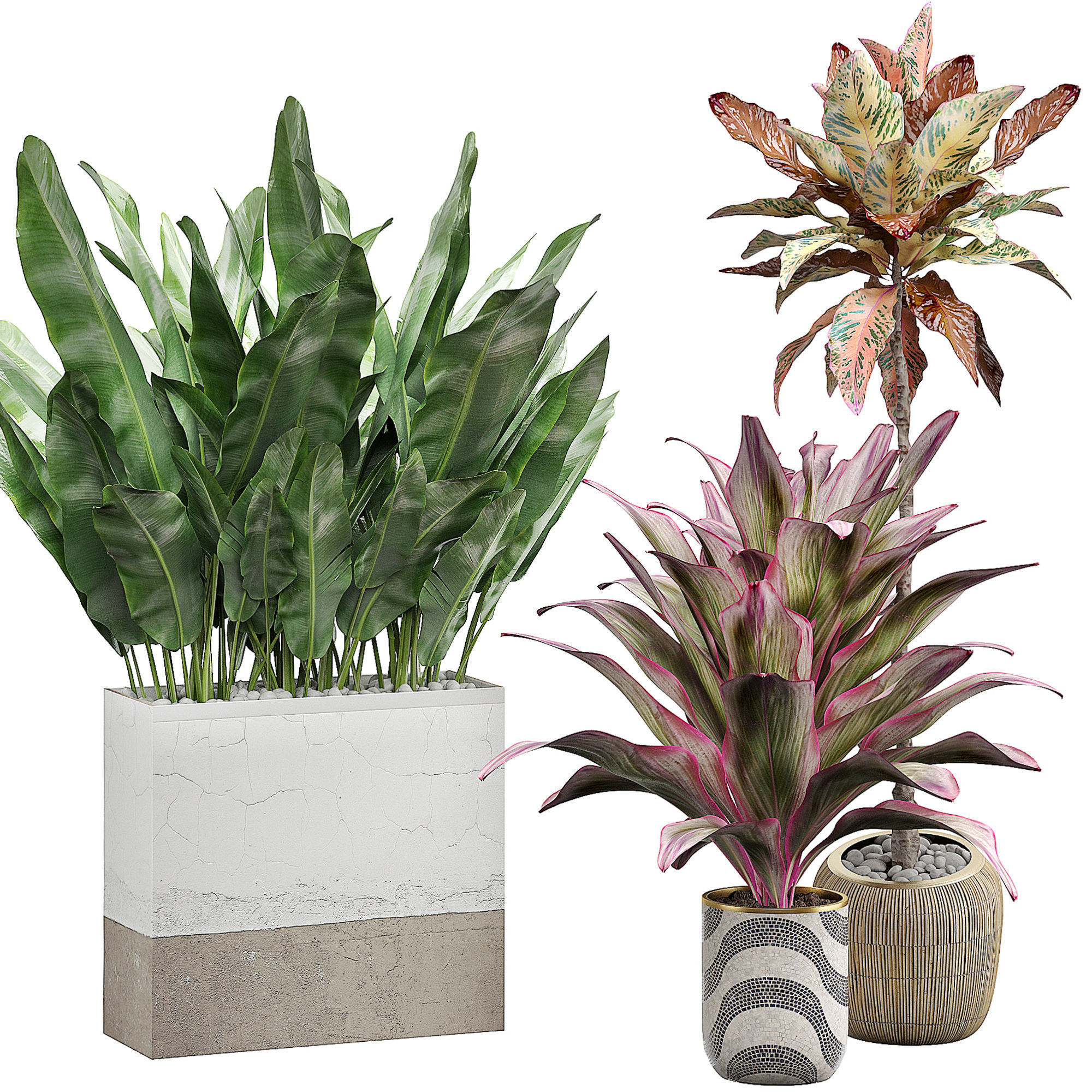 MEGA FLOWER PACK 1 3D model_2