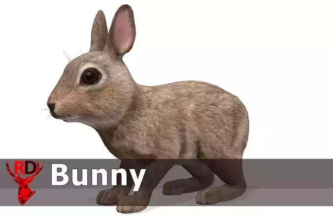 Bunny rabbit Low-poly 3D model