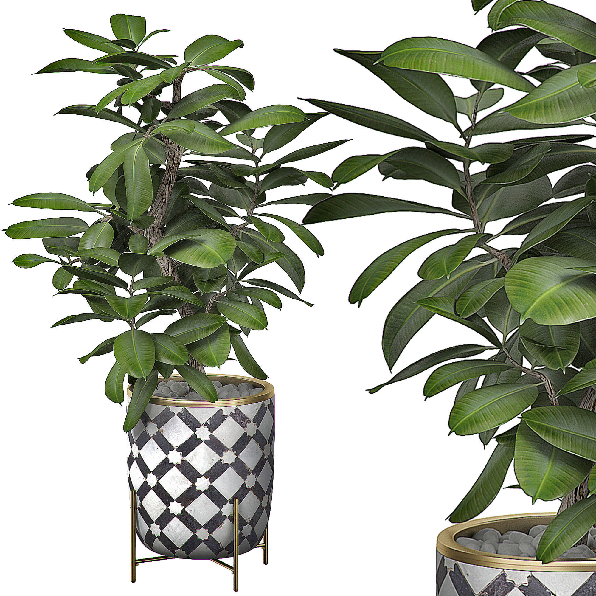 MEGA FLOWER PACK 3 3D model_3