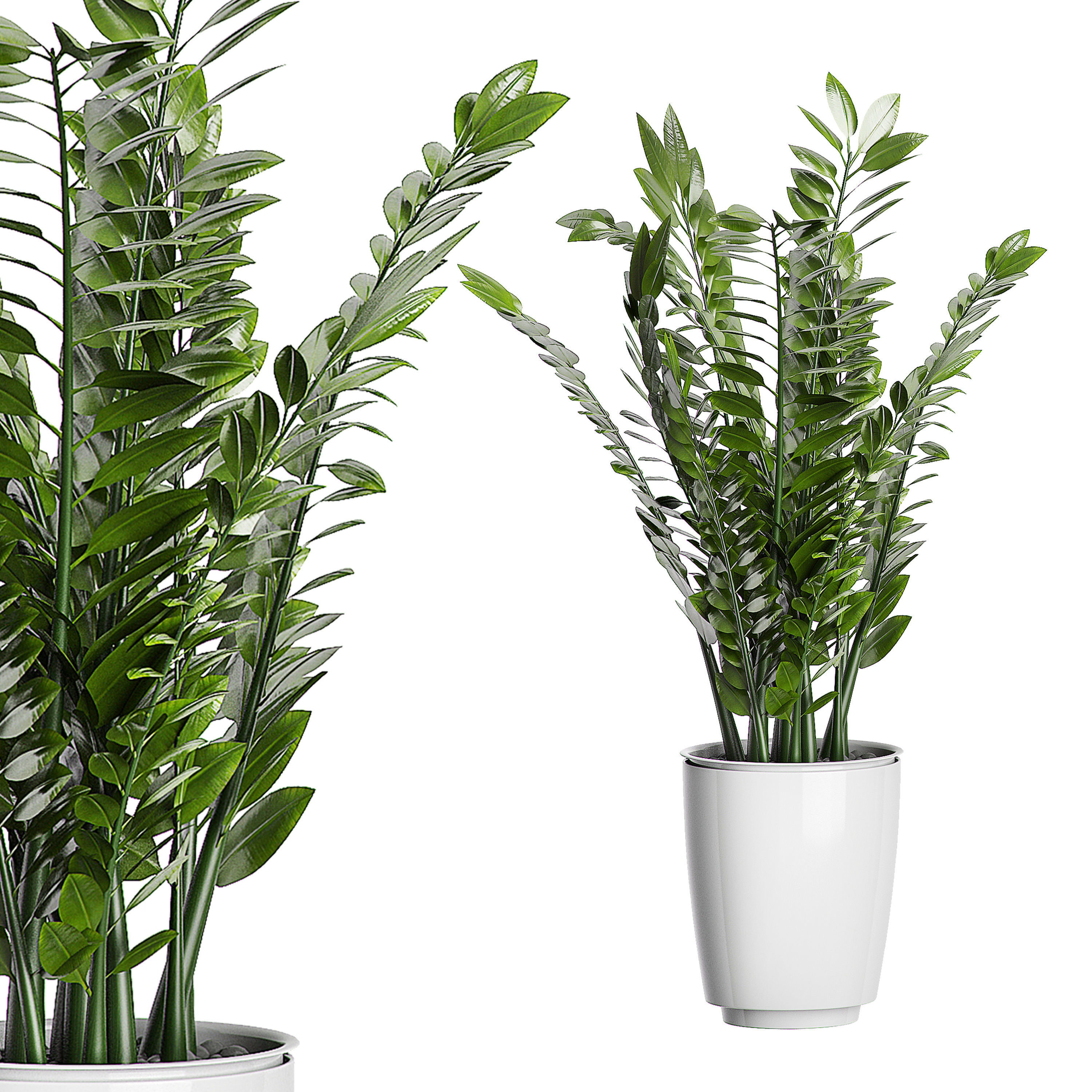 MEGA FLOWER PACK 3 3D model_4