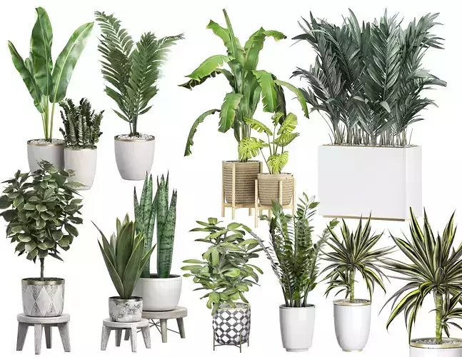 MEGA FLOWER PACK 3 3D model