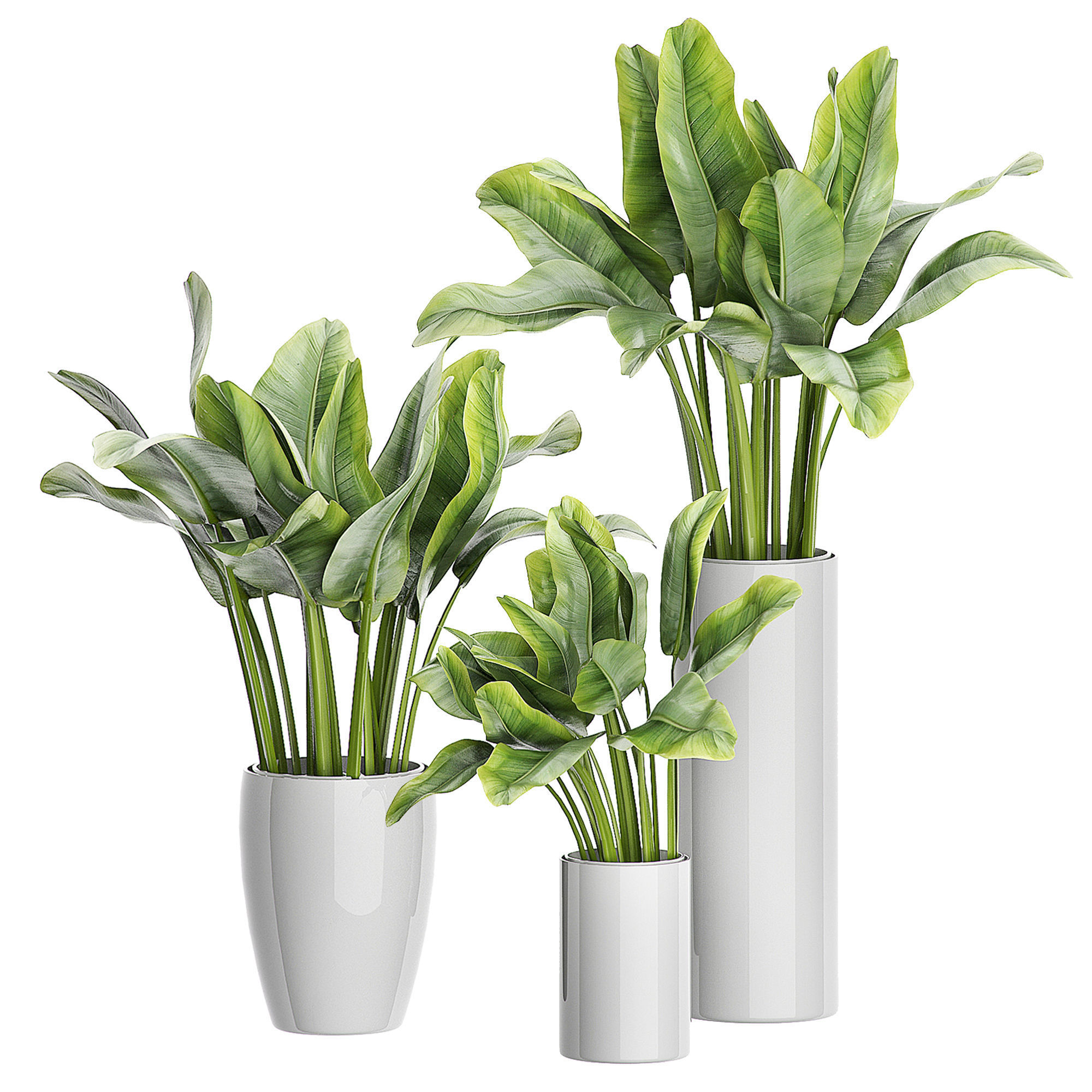 MEGA FLOWER PACK 4 3D model_4