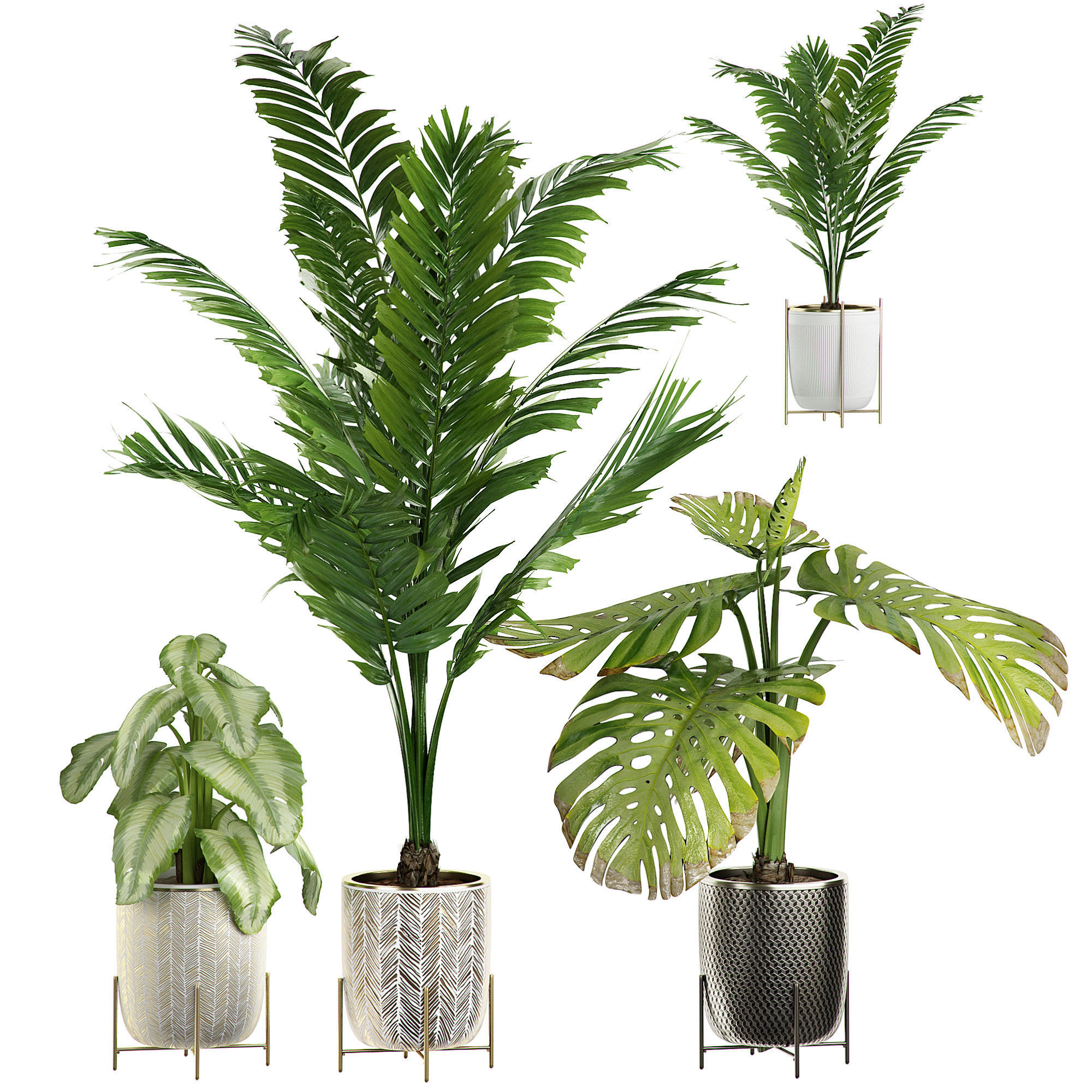 MEGA FLOWER PACK 4 3D model_5