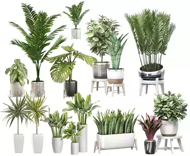MEGA FLOWER PACK 4 3D model
