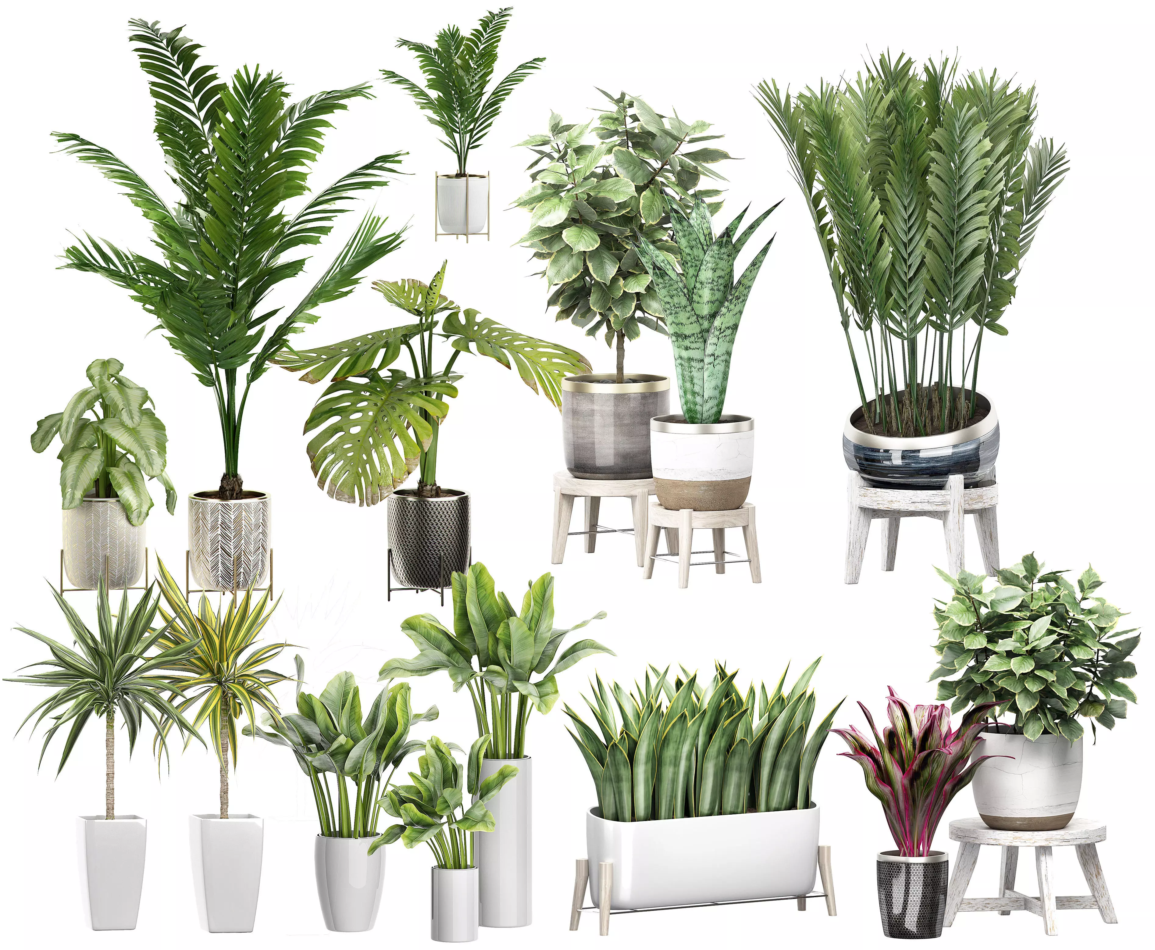 MEGA FLOWER PACK 4 3D model_0