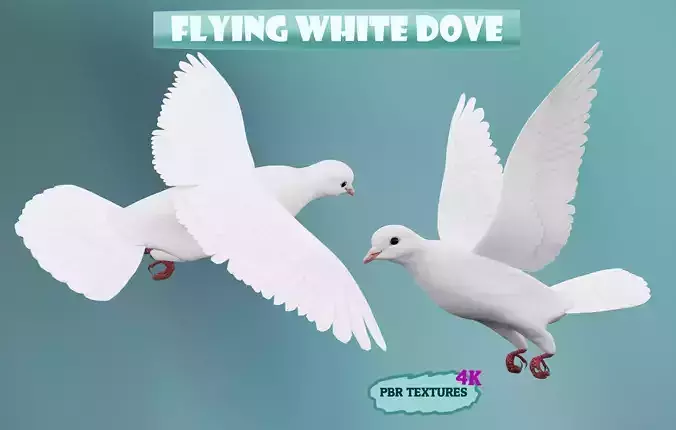 realistc White Dove- LOOP FLIGHT animation Low-poly 3D model