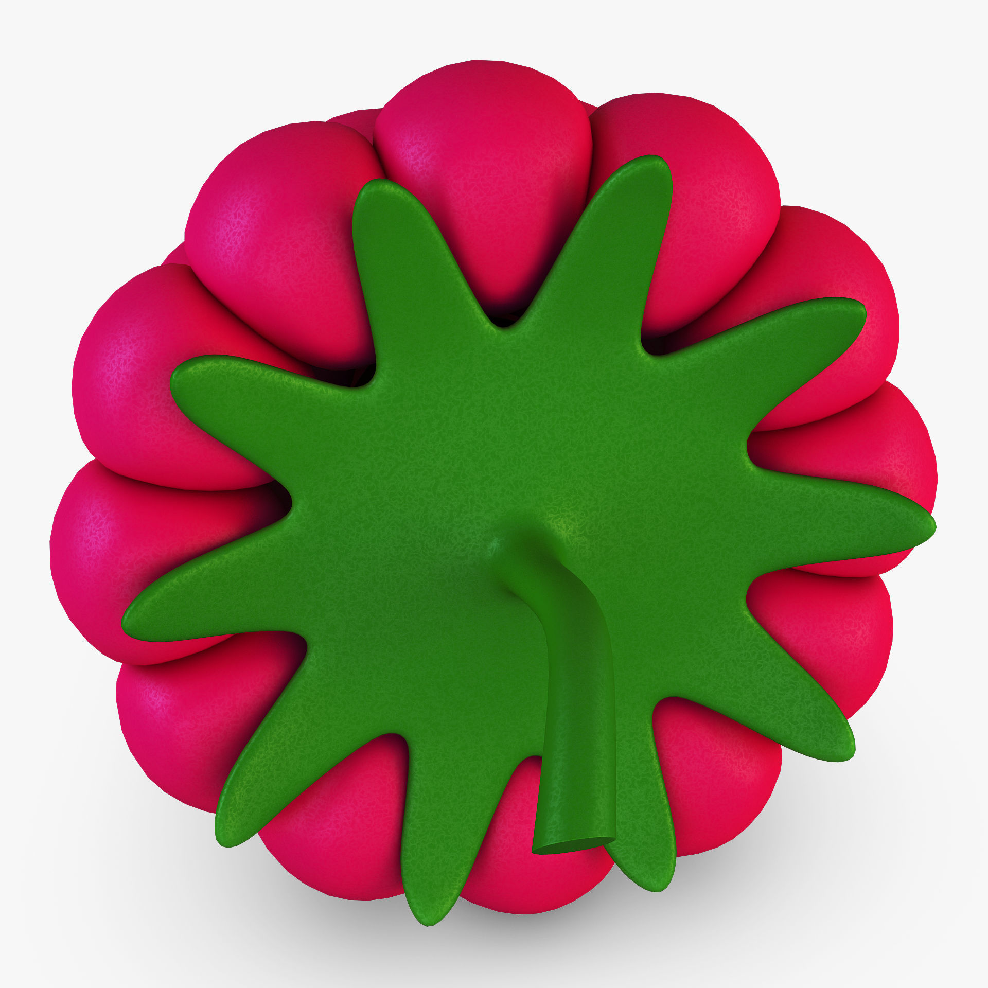 Cartoon Raspberry v 1 3D model_5