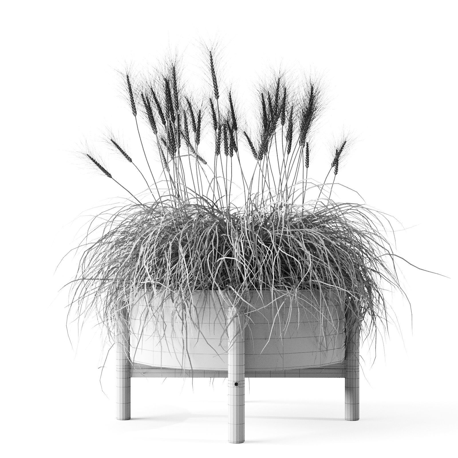 Sedge In Concrete Pots 3D model_3