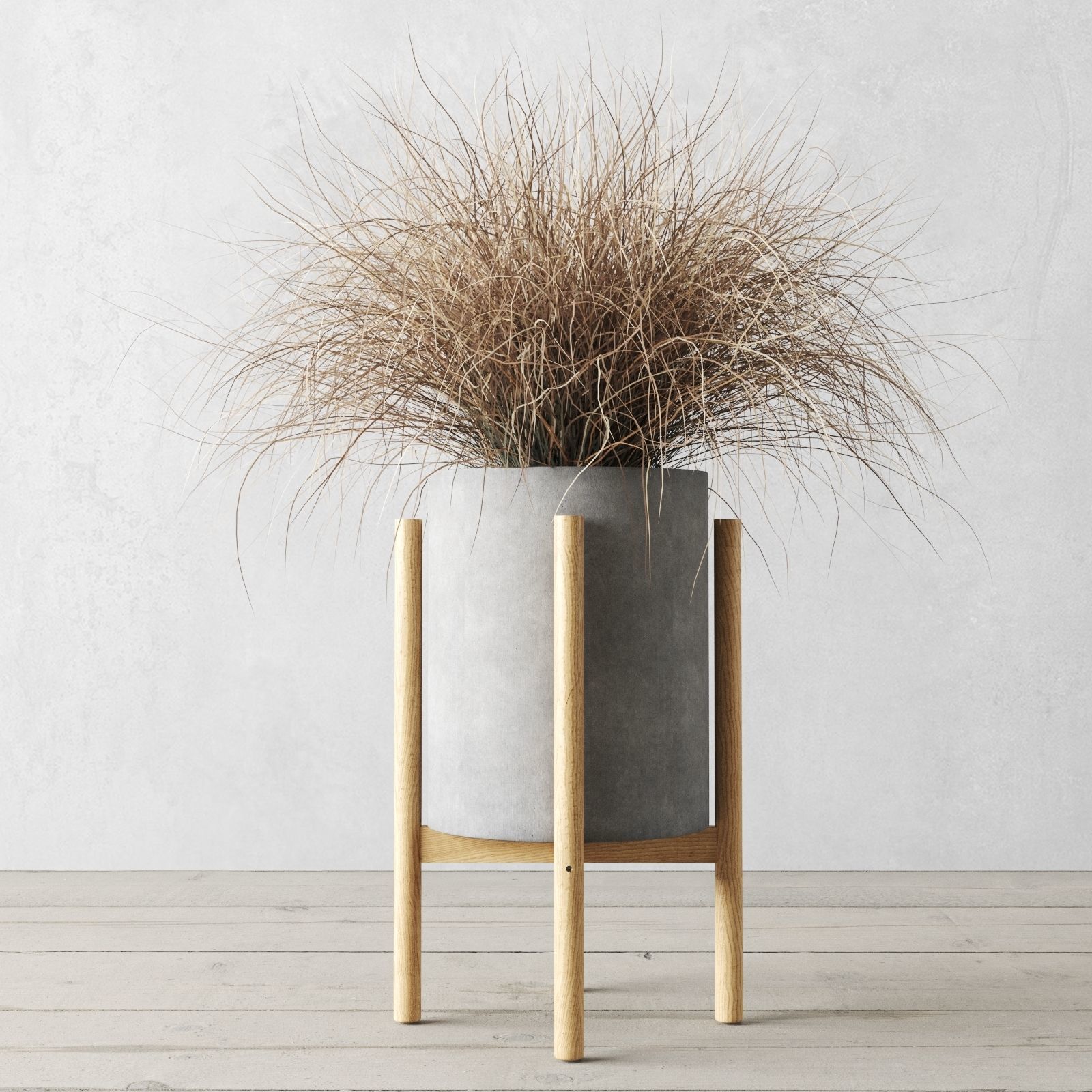 Sedge In Concrete Pots 3D model_4