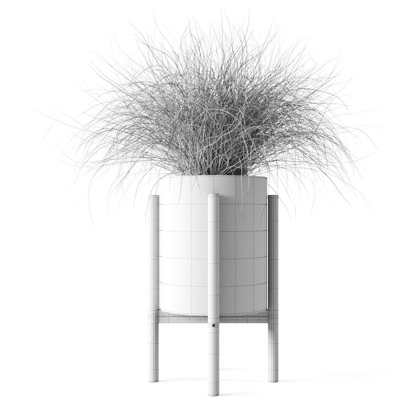 Sedge In Concrete Pots 3D model_5