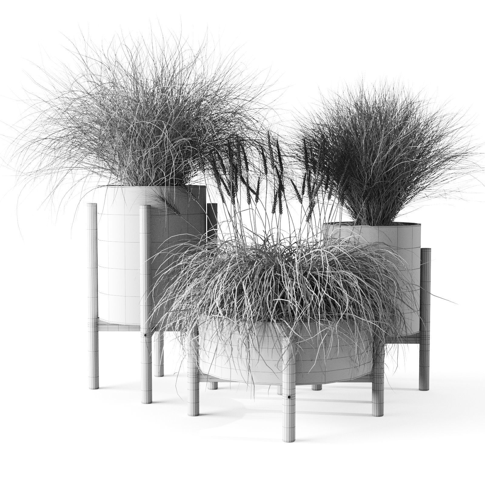 Sedge In Concrete Pots 3D model_1