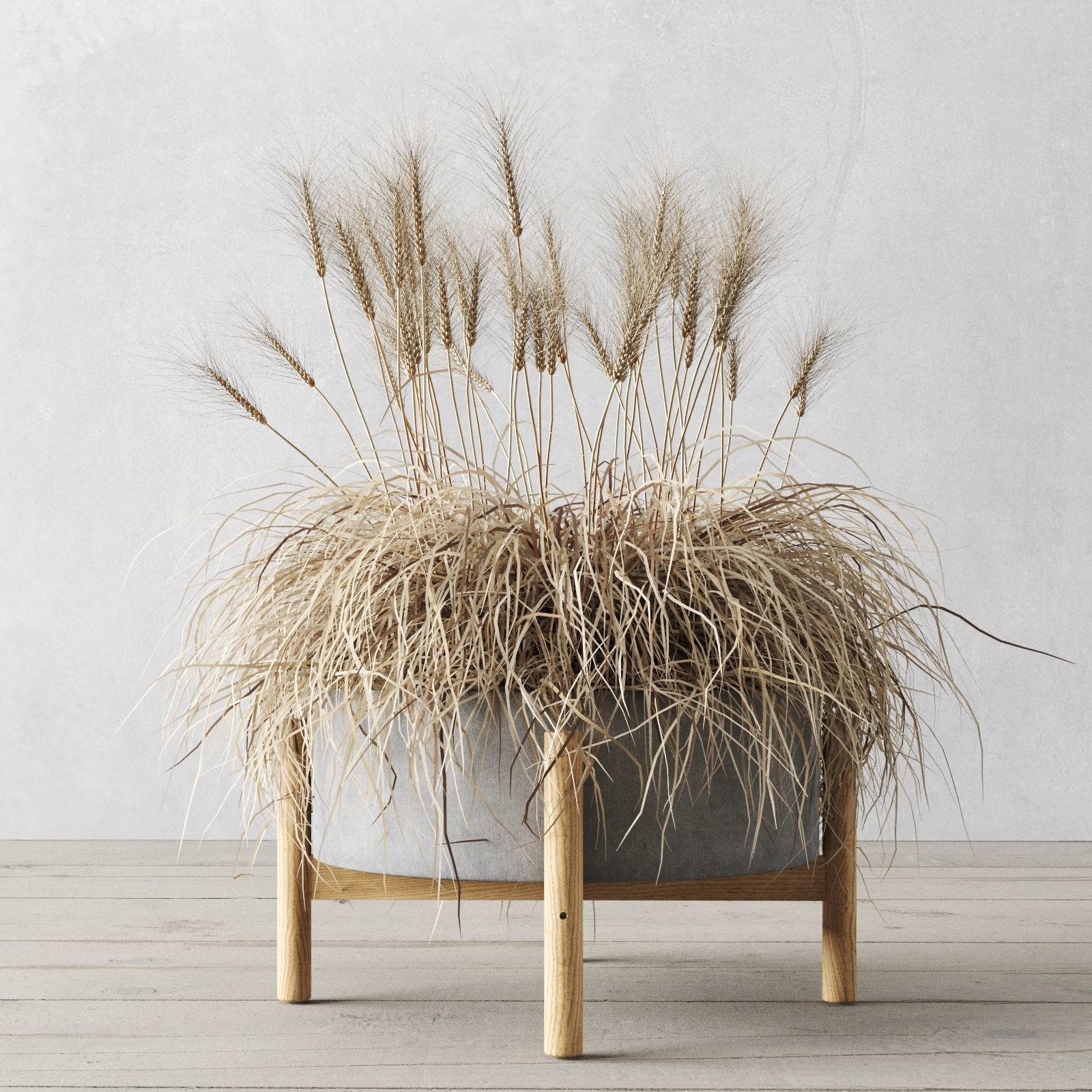 Sedge In Concrete Pots 3D model_2