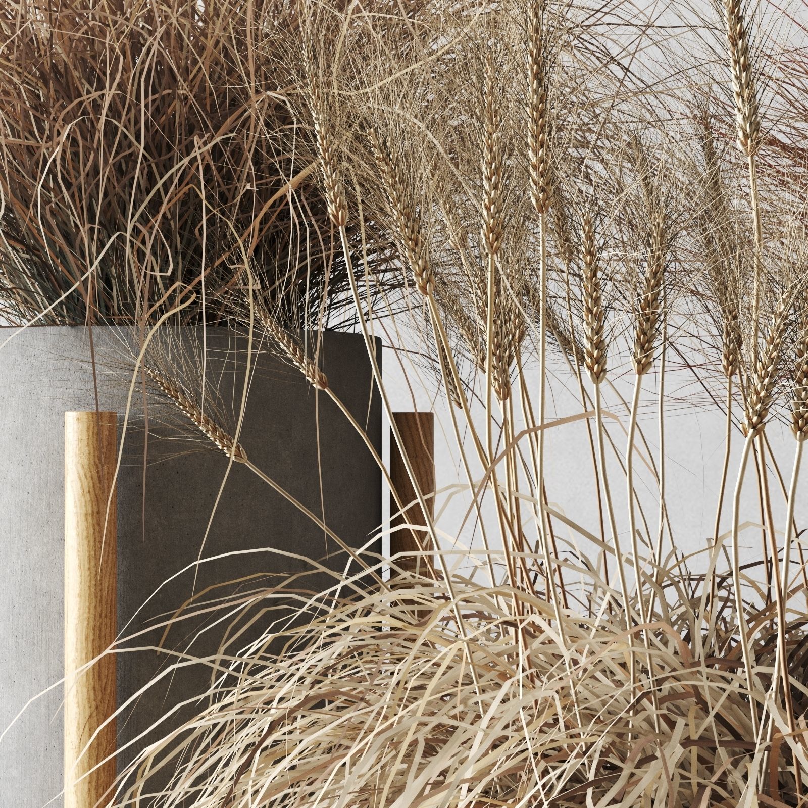 Sedge In Concrete Pots 3D model_8